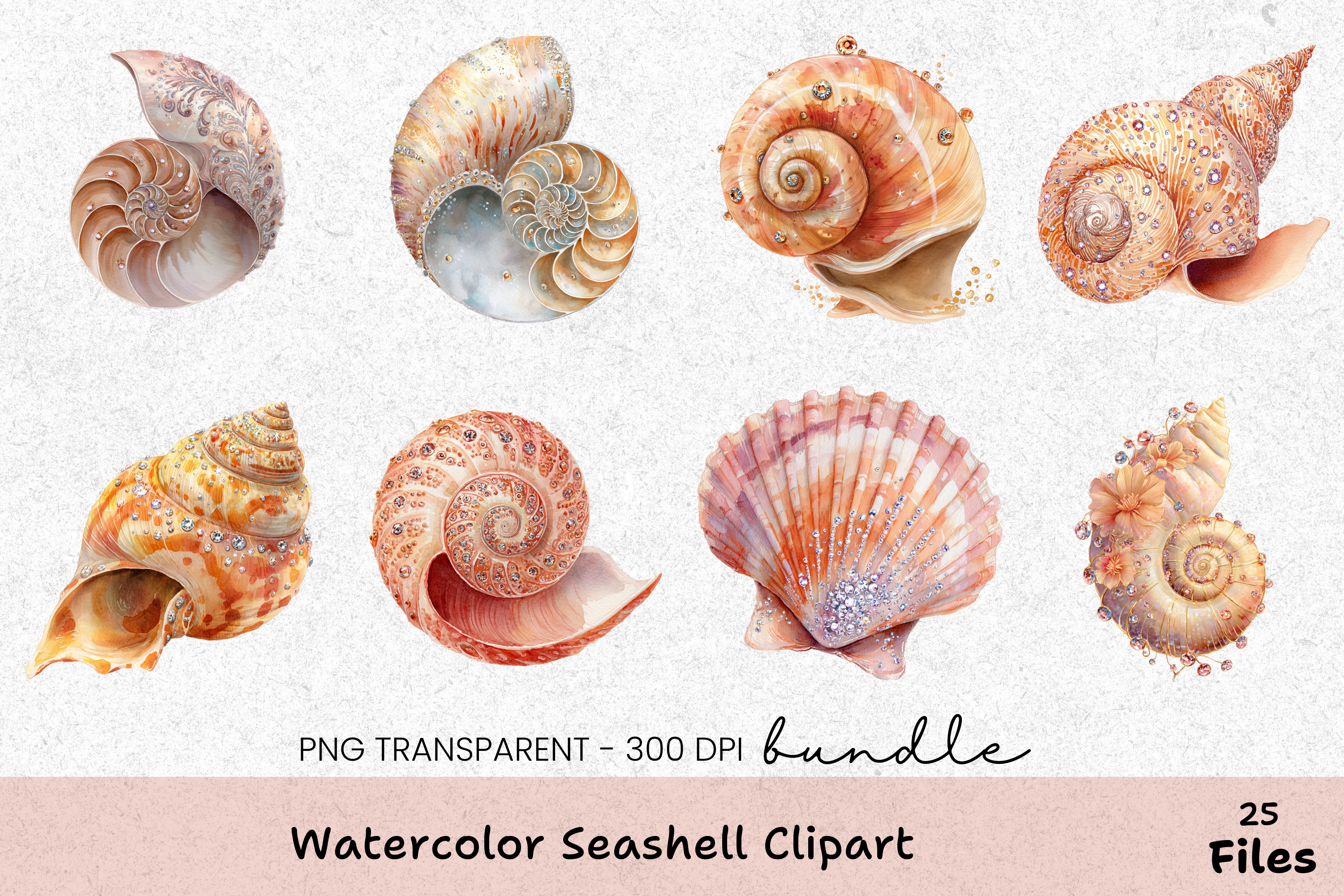 Seashell Clipart Bundle: 390 Unique Designs