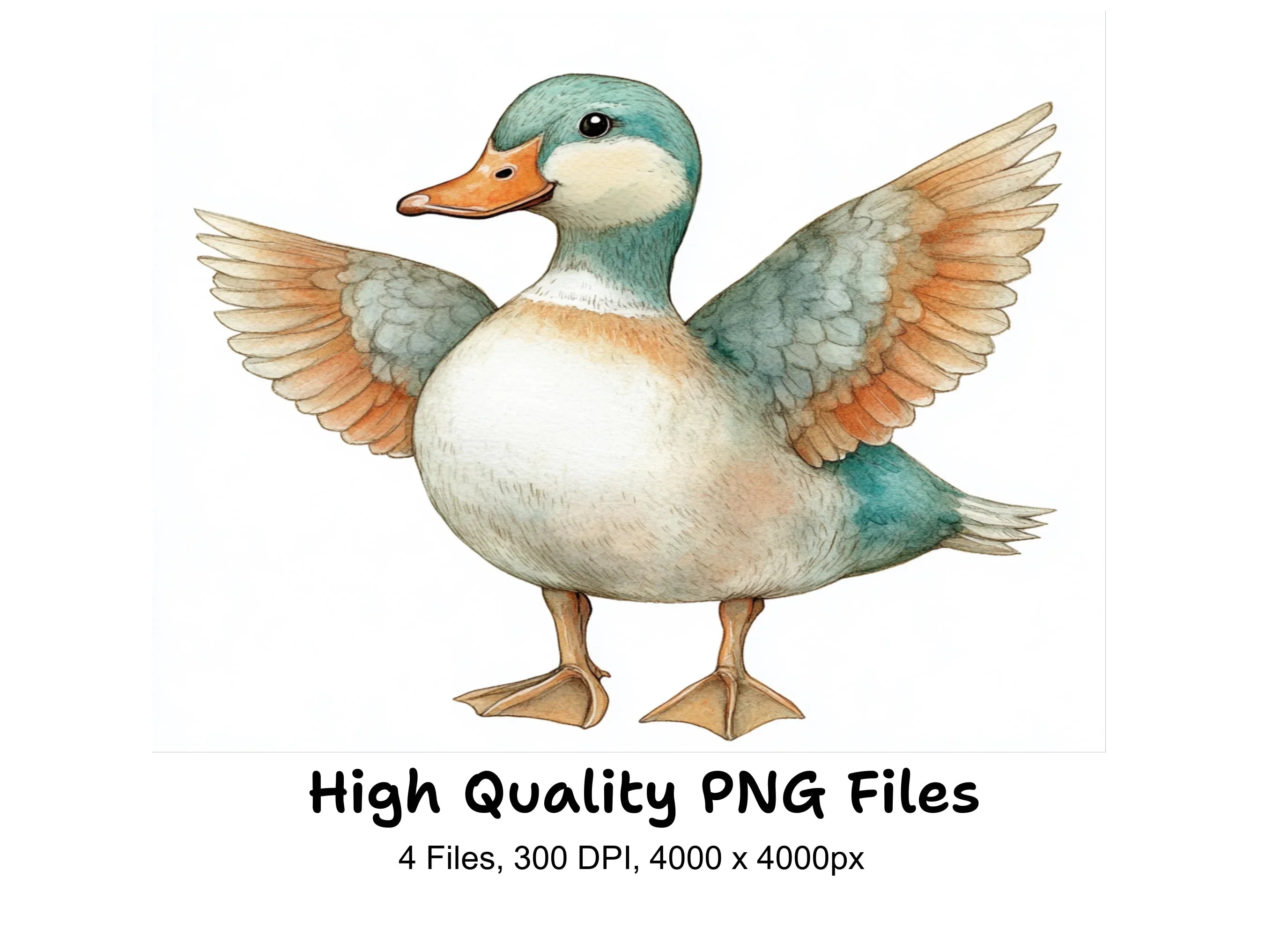 Cute Duck Clipart Bundle