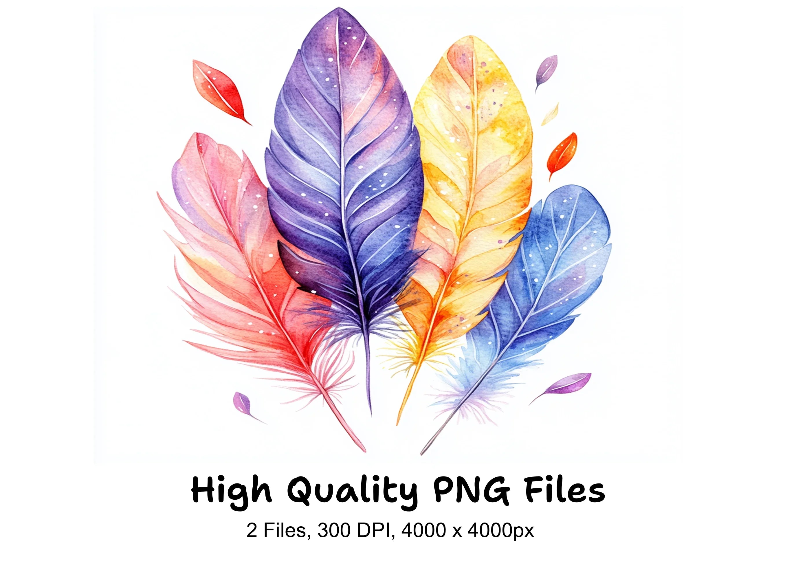 Colorful Feather Arrangement Clipart Bundle