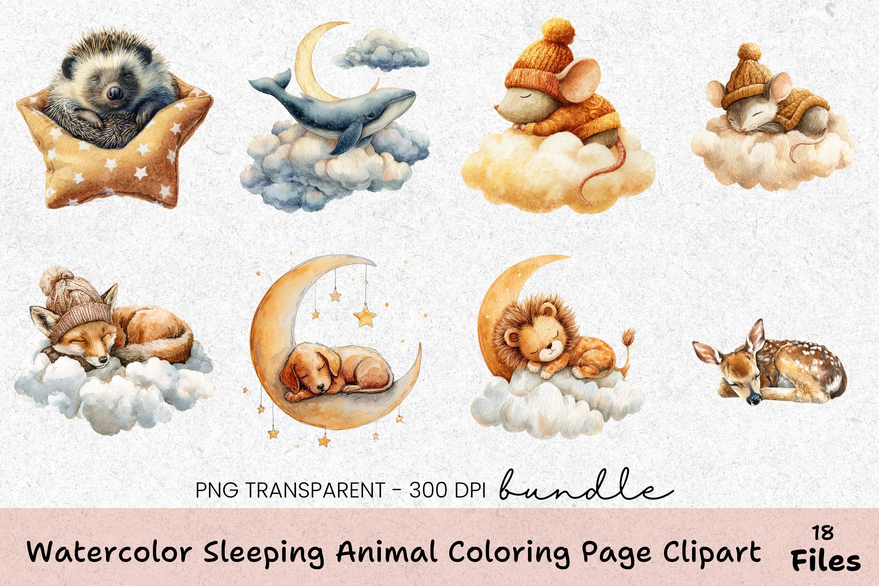 Sleeping Animal Coloring Page Clipart Bundle - CraftNest - Digital Crafting and Art