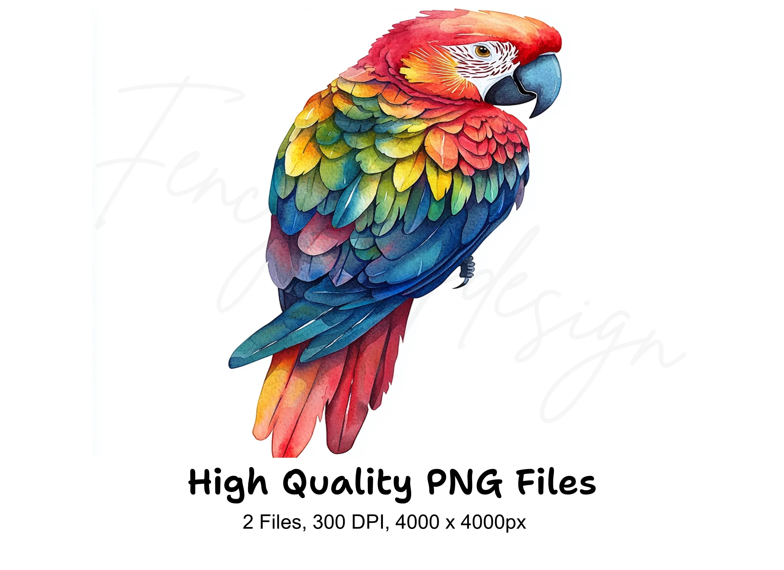 Vibrant Macaw Clipart Bundle