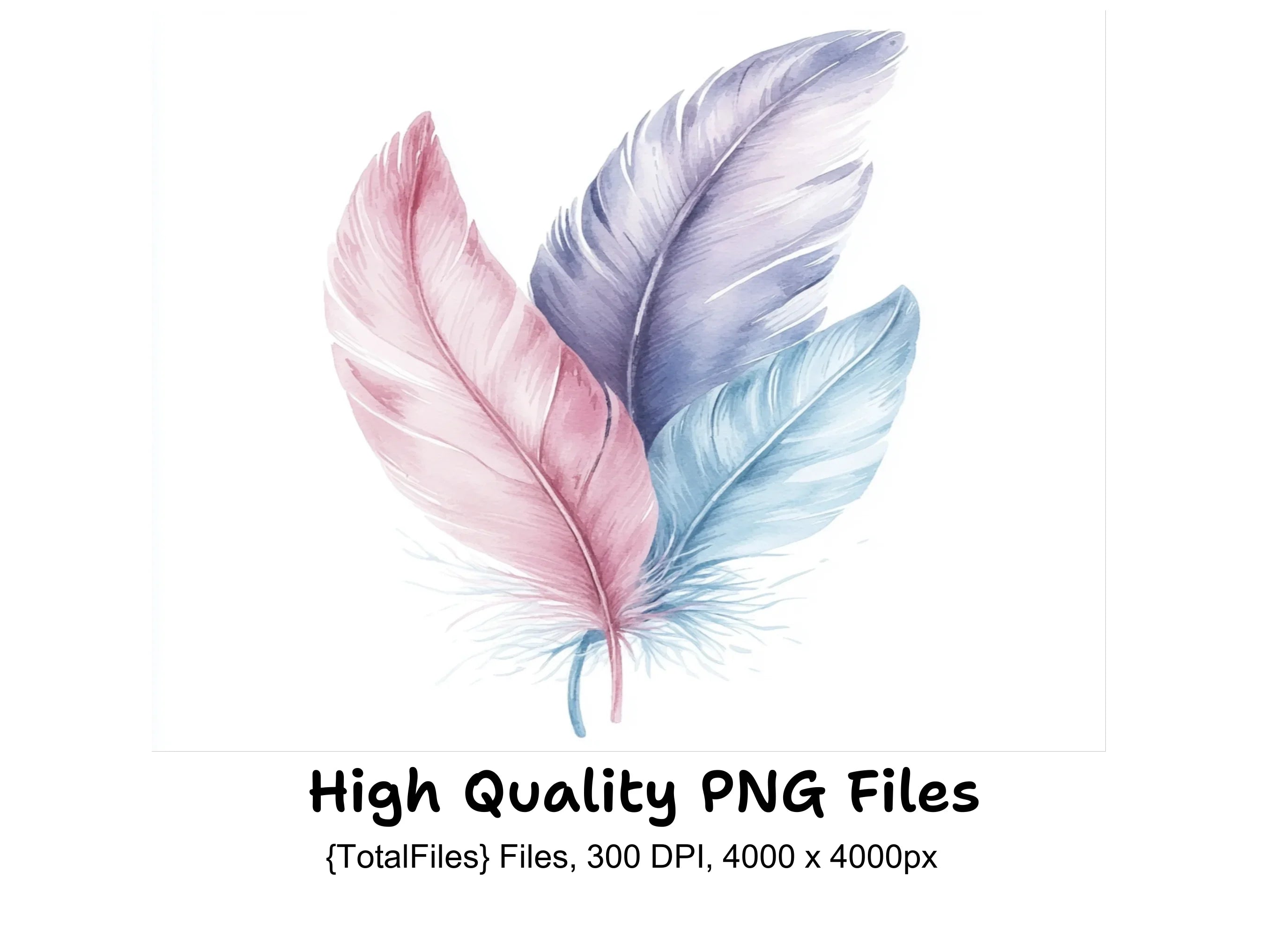 Soft Feather Arrangements Clipart Bundle