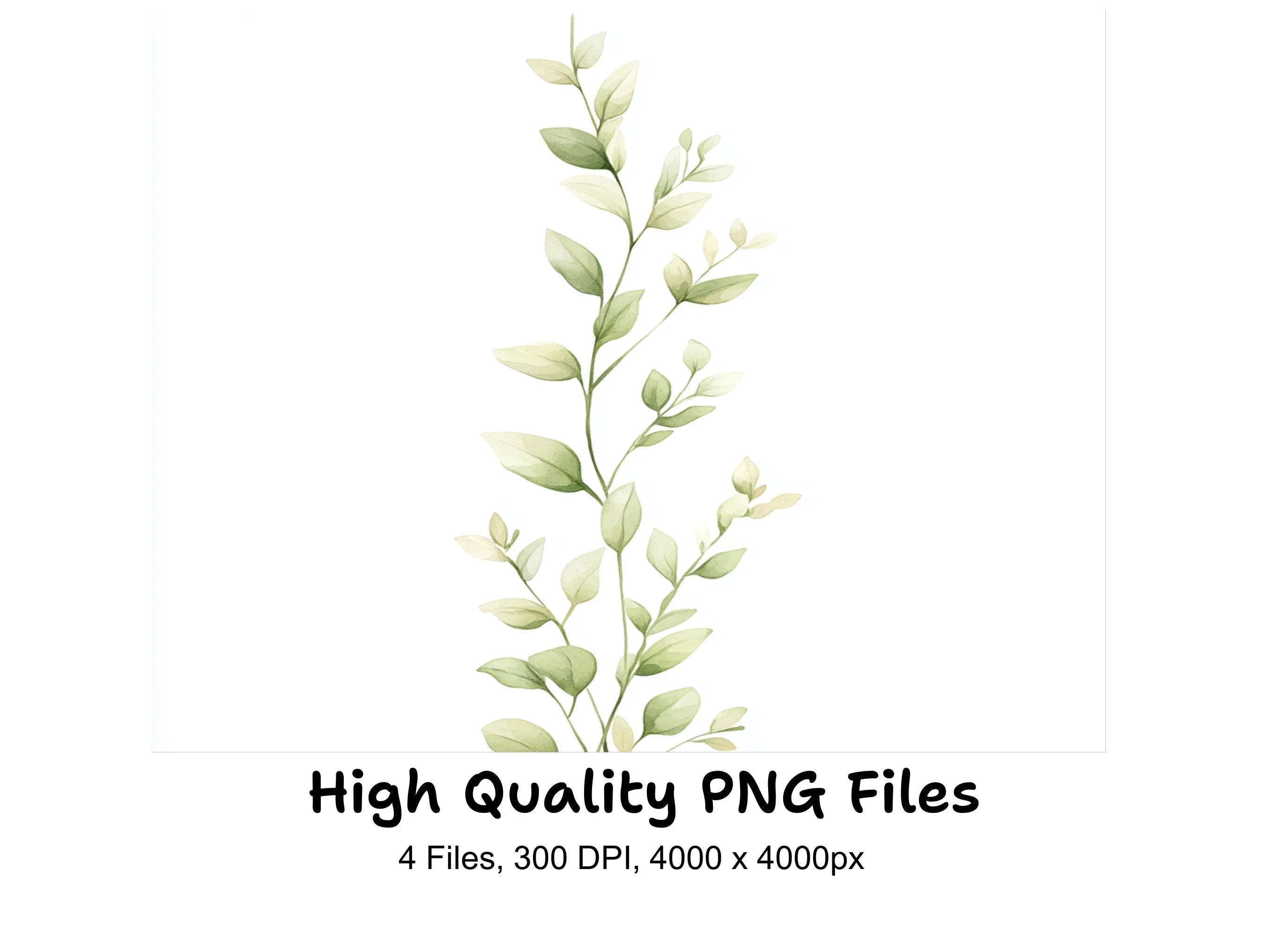 Green Leafy Vine Clipart Bundle