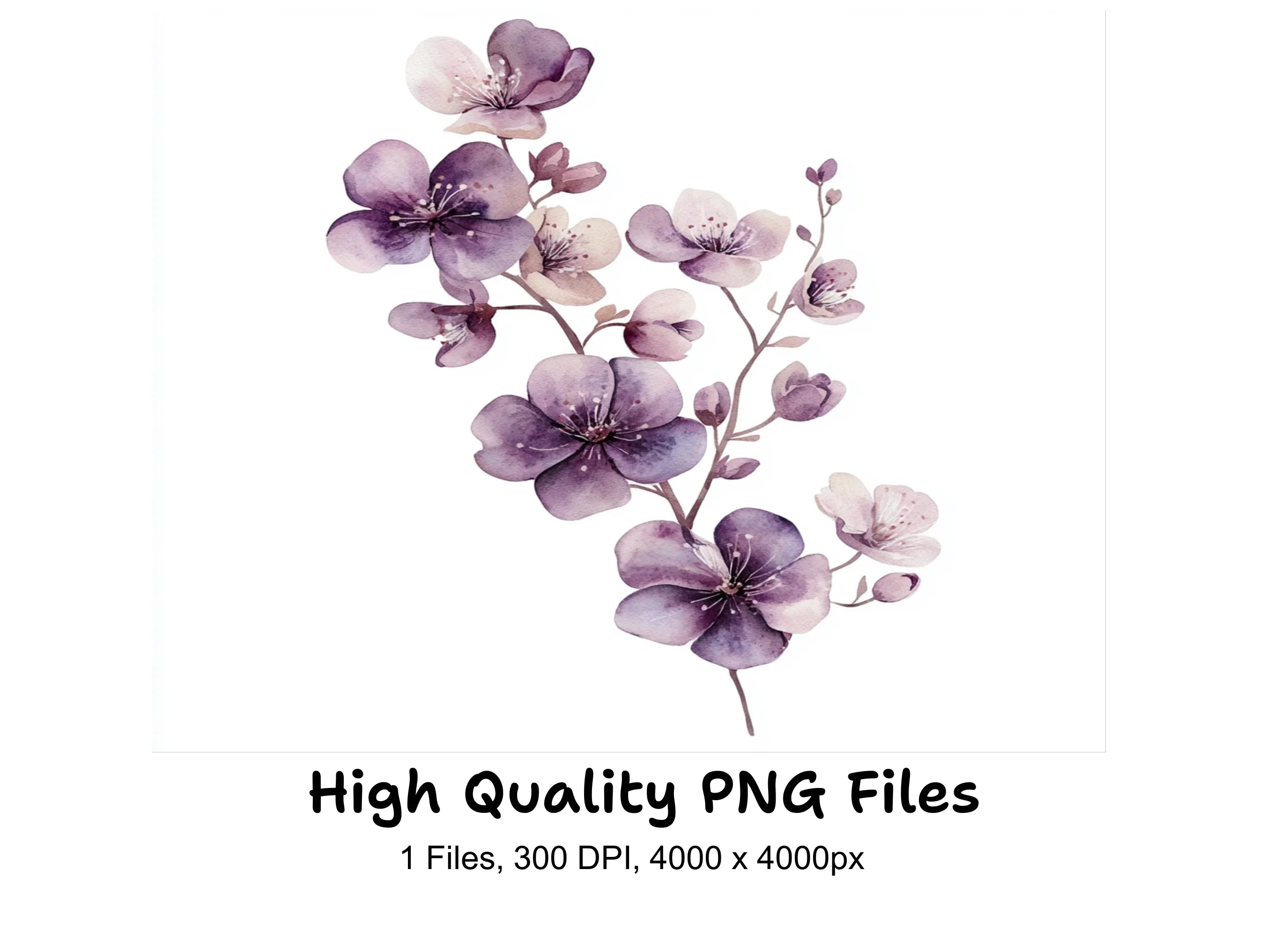 Purple Cherry Blossom Clipart Bundle