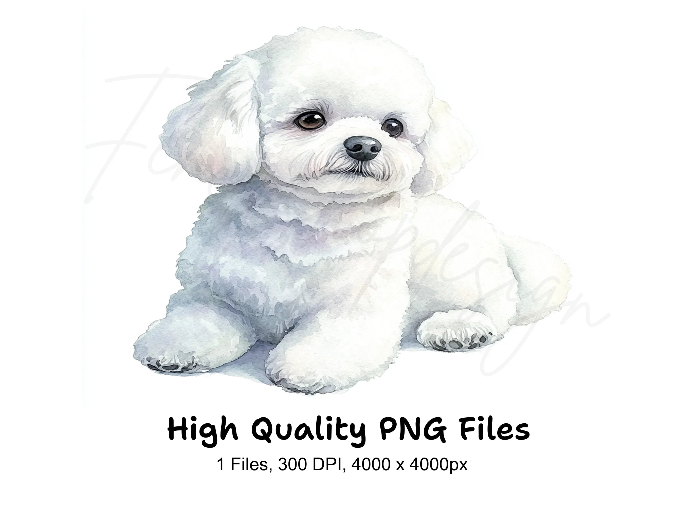 Cute Bichon Frise Puppy Clipart Bundle