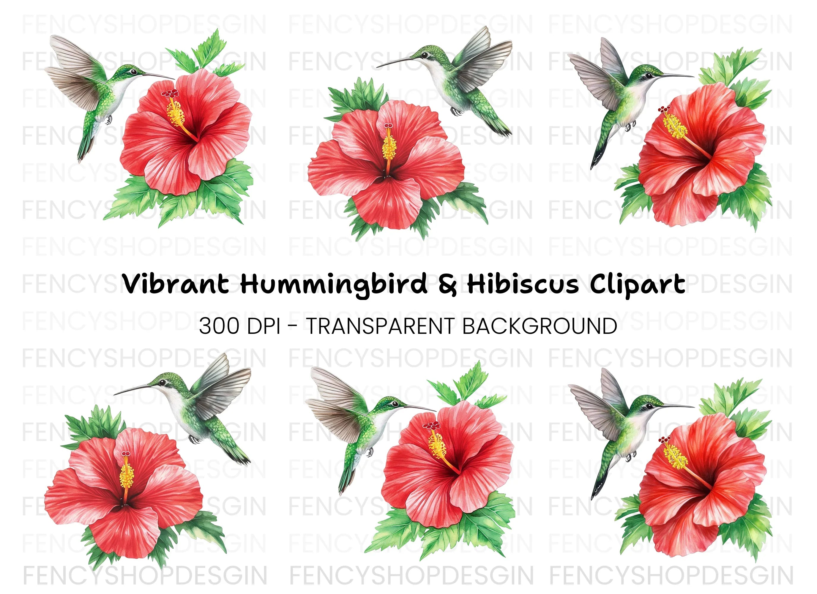 Hummingbird and Hibiscus Clipart Bundle