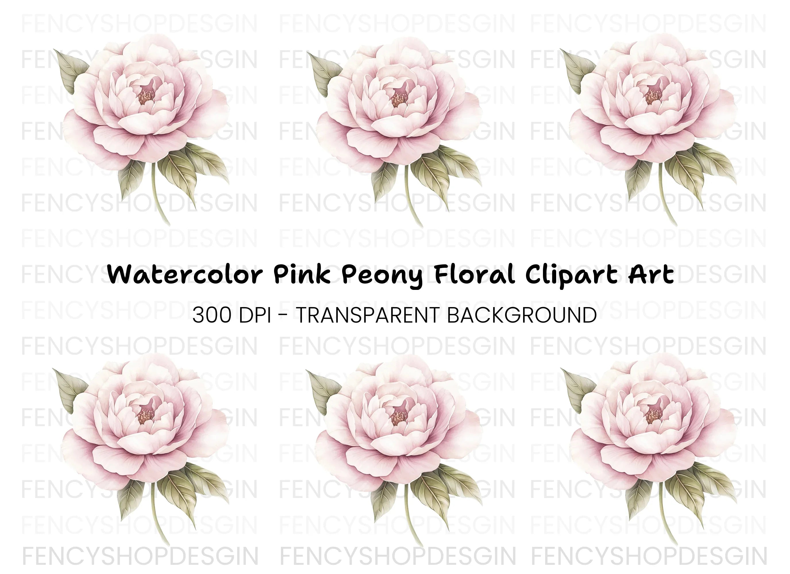 Soft Pink Peony Illustration Clipart Bundle
