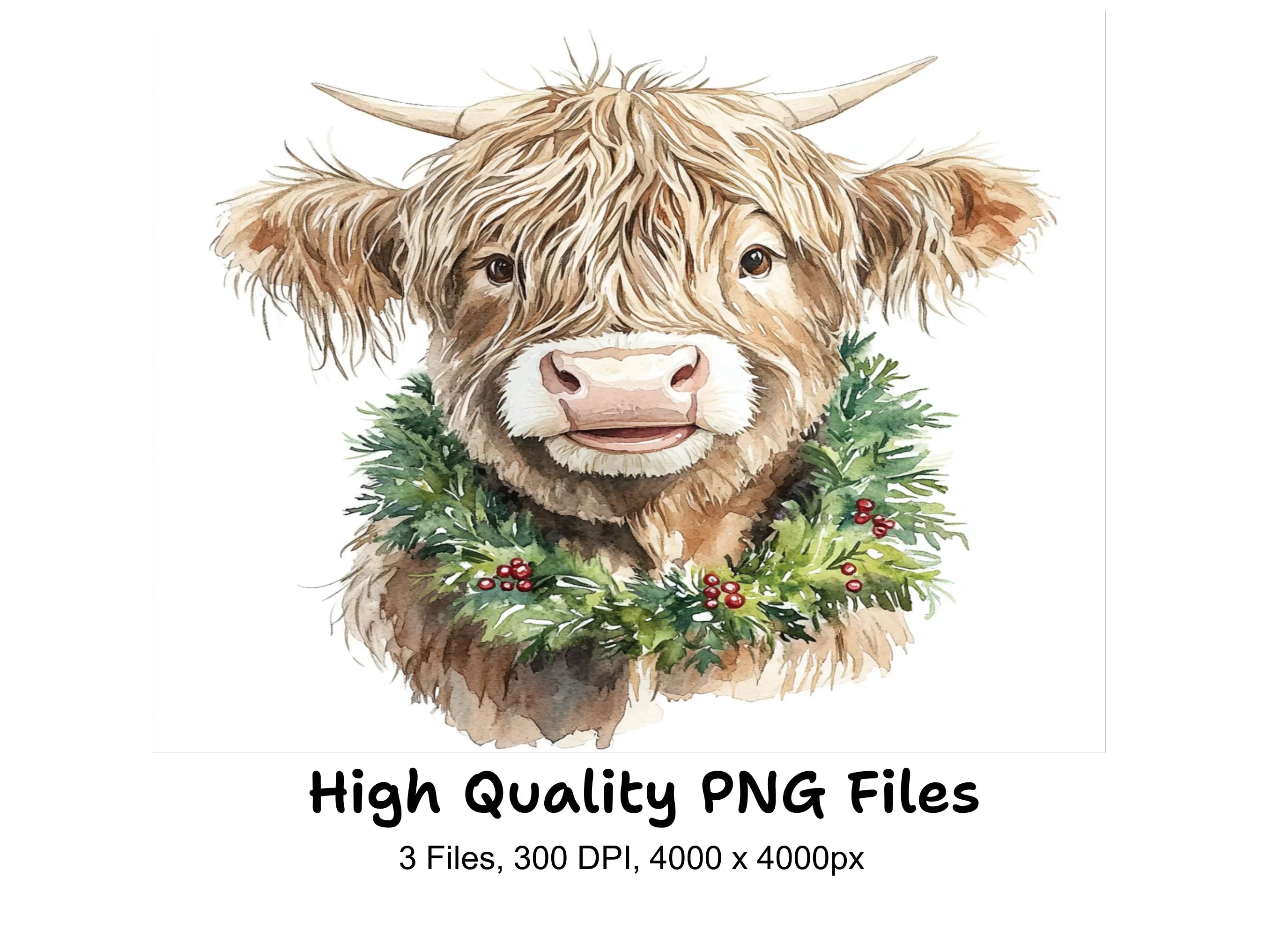 Highland Cow Christmas Wreath Clipart Bundle