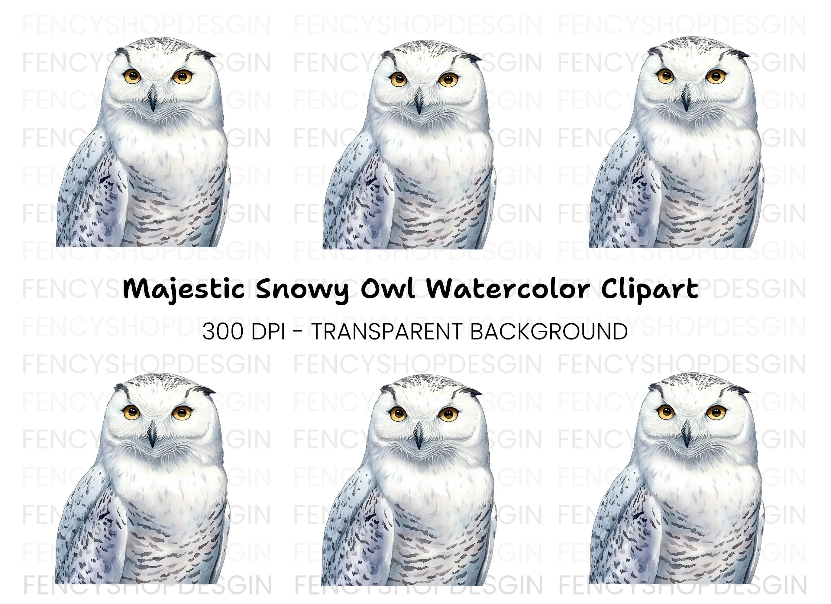 Majestic Snowy Owl Illustration Clipart Bundle