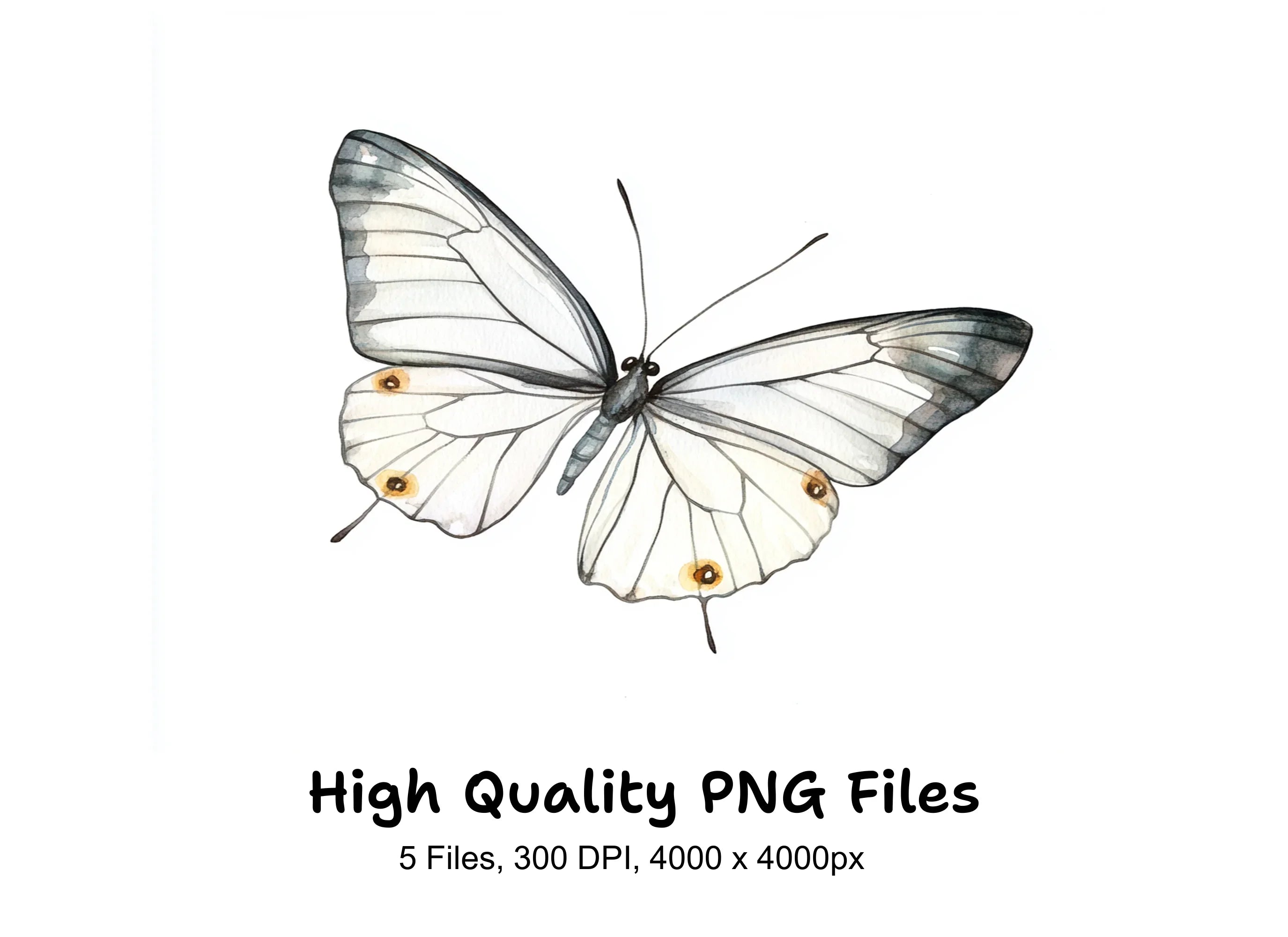 Elegant White Butterfly Clipart Bundle
