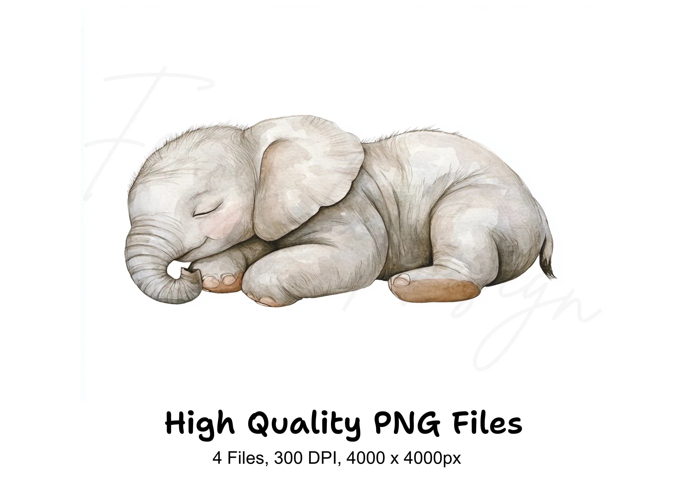 Sleeping Baby Elephant Clipart Bundle