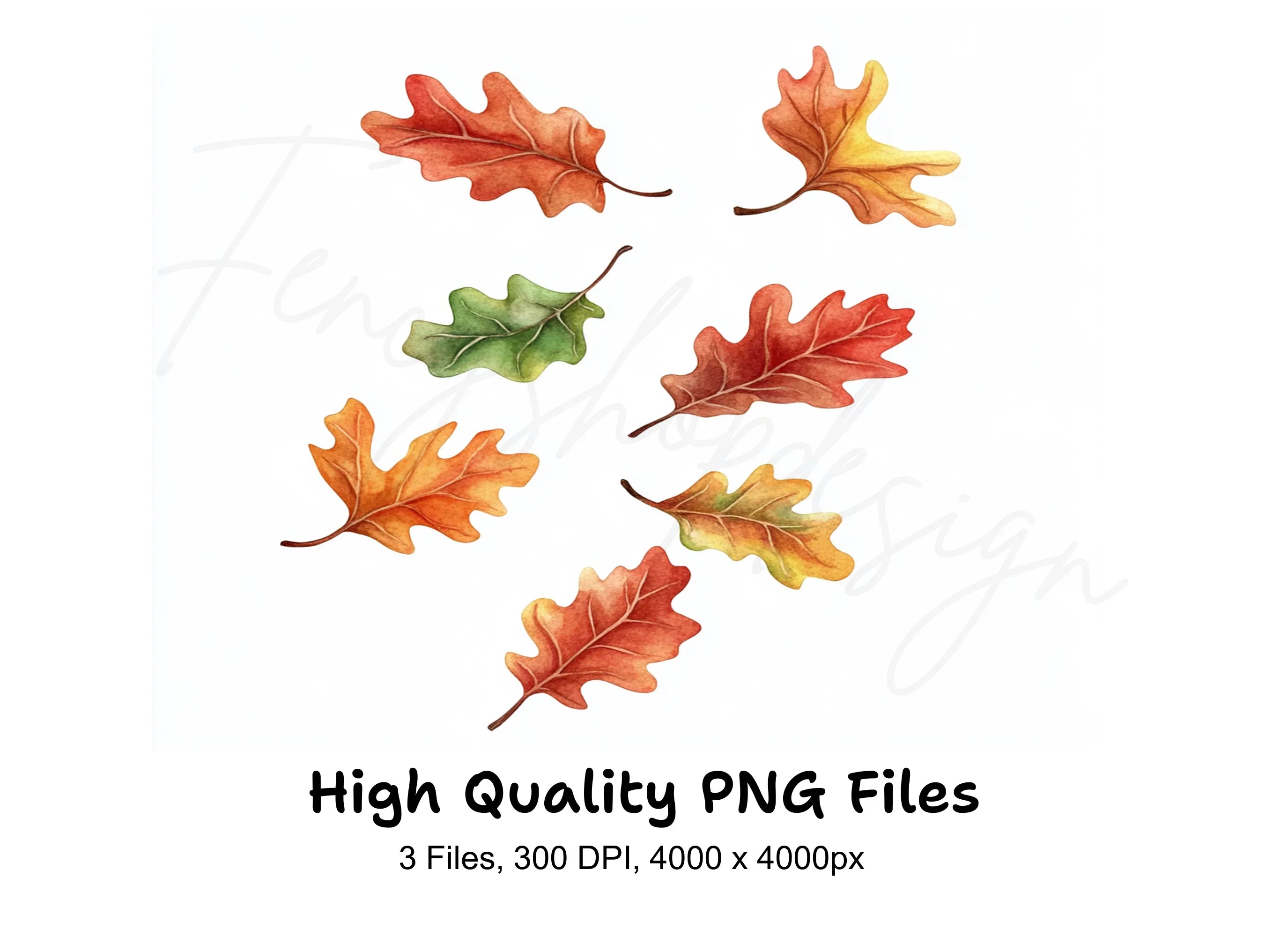 Autumn Oak Leaves Clipart Bundle