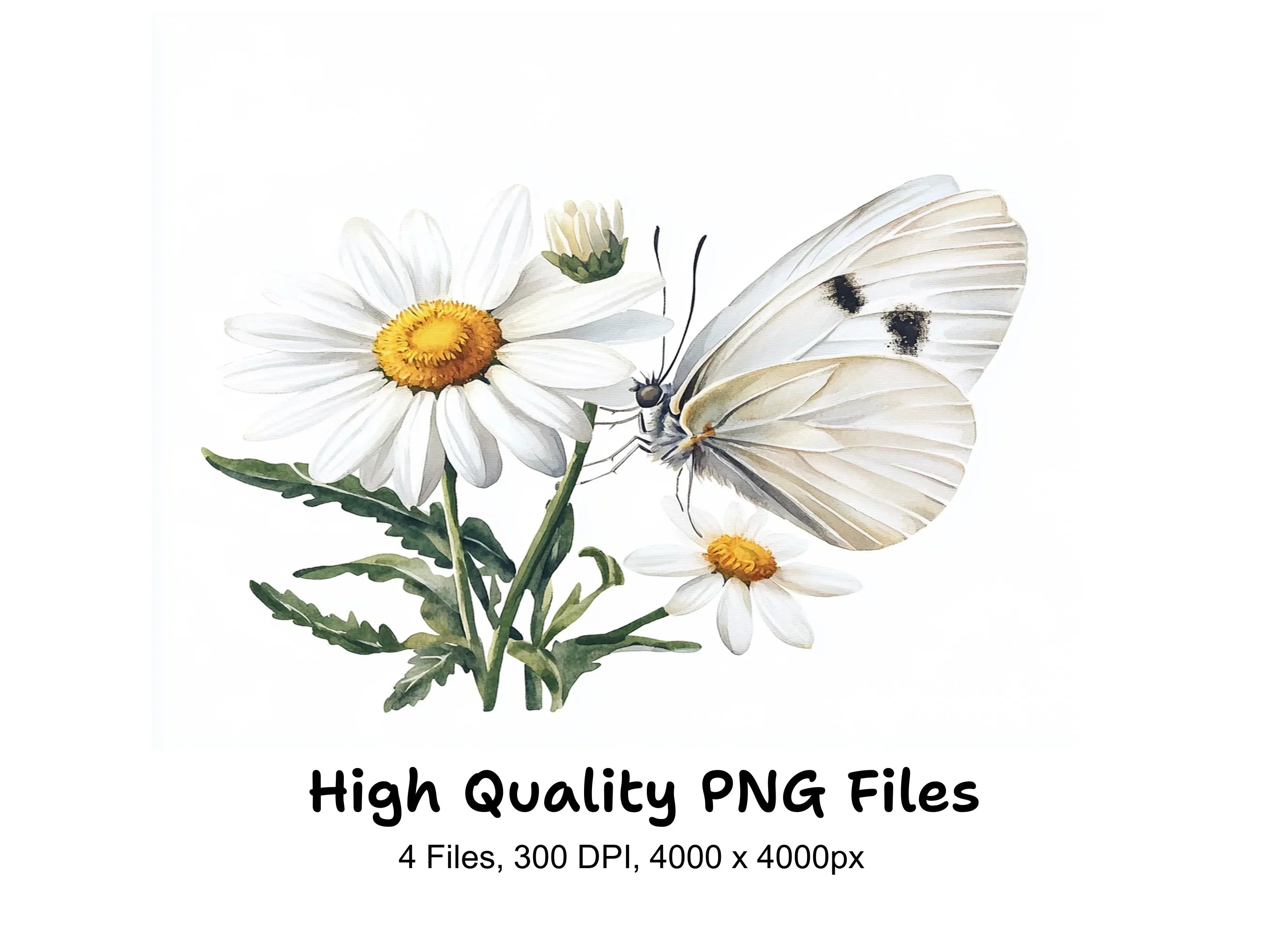 White Butterflies and Daisies Clipart Bundle