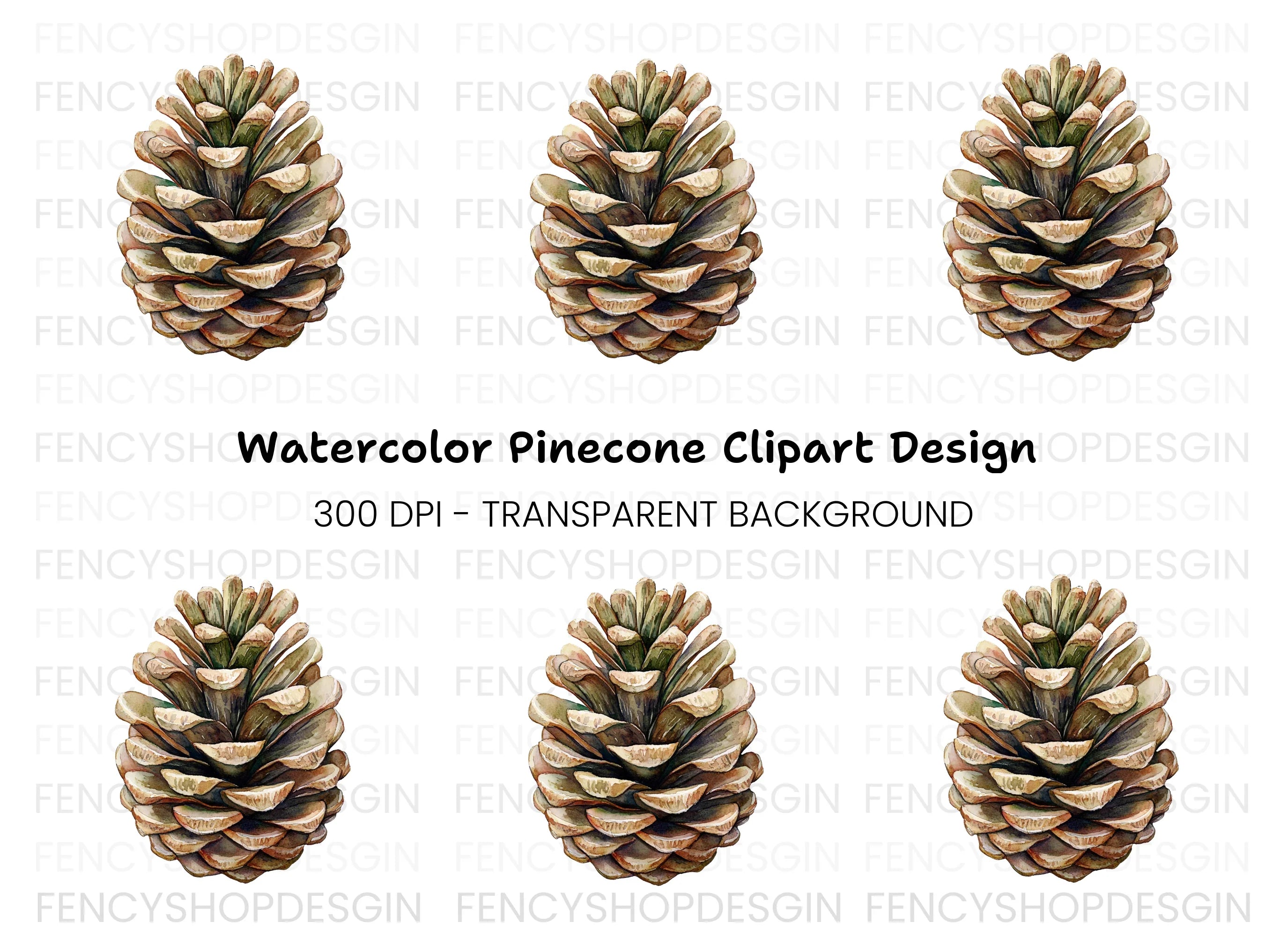 Realistic Pine Cone Clipart Bundle