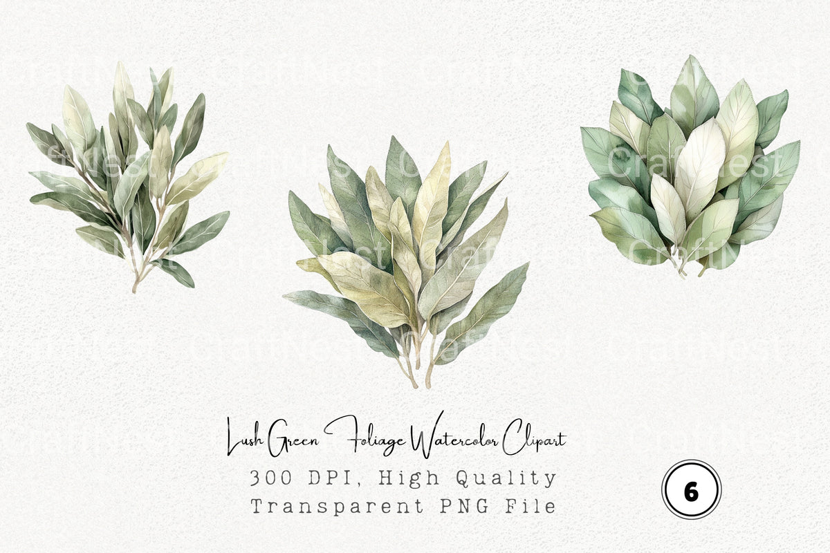 Lush Green Foliage Clipart Bundle
