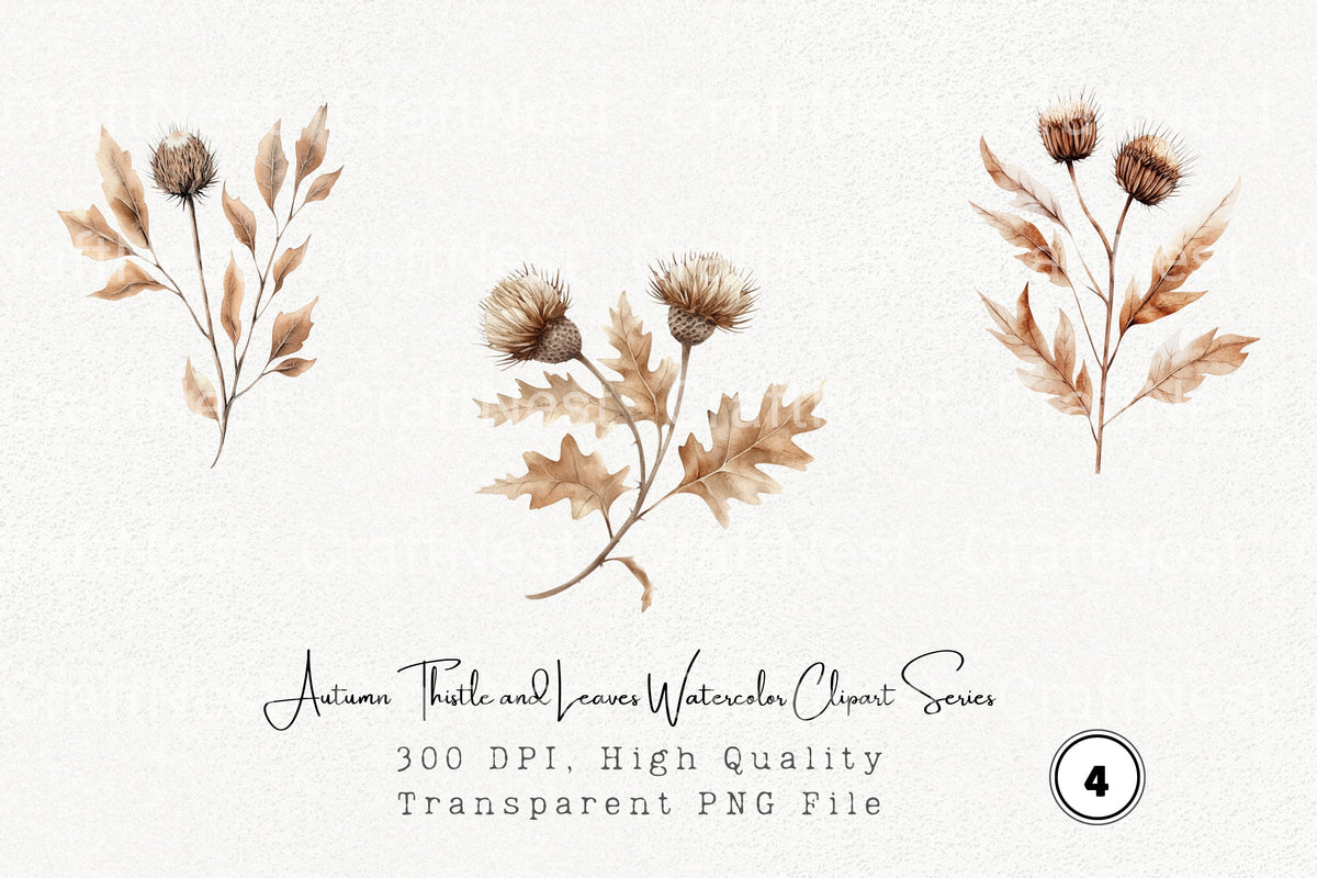 Autumn Thistle And Leaves Series Clipart Bundle