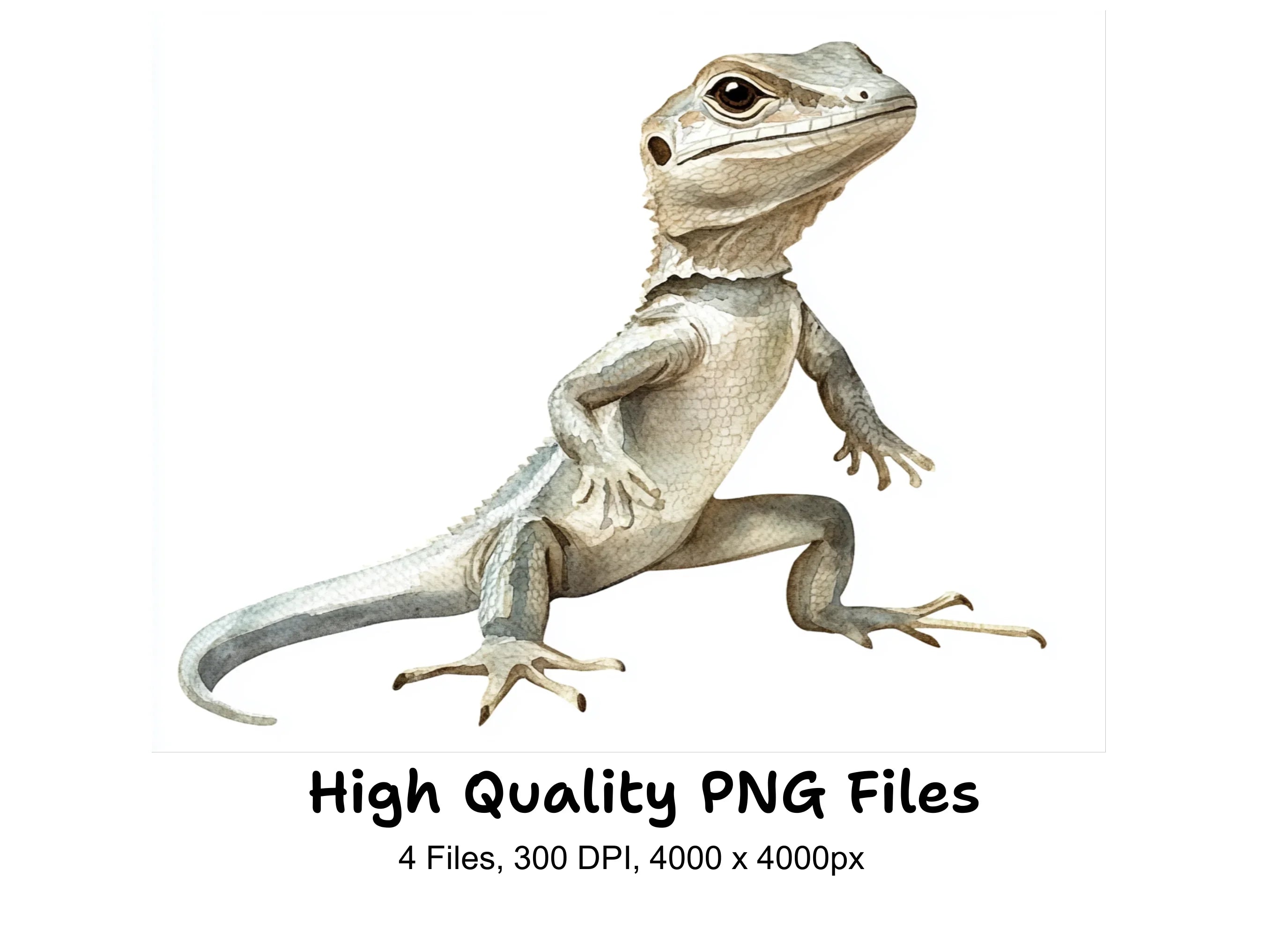 Cute Lizard Clipart Bundle