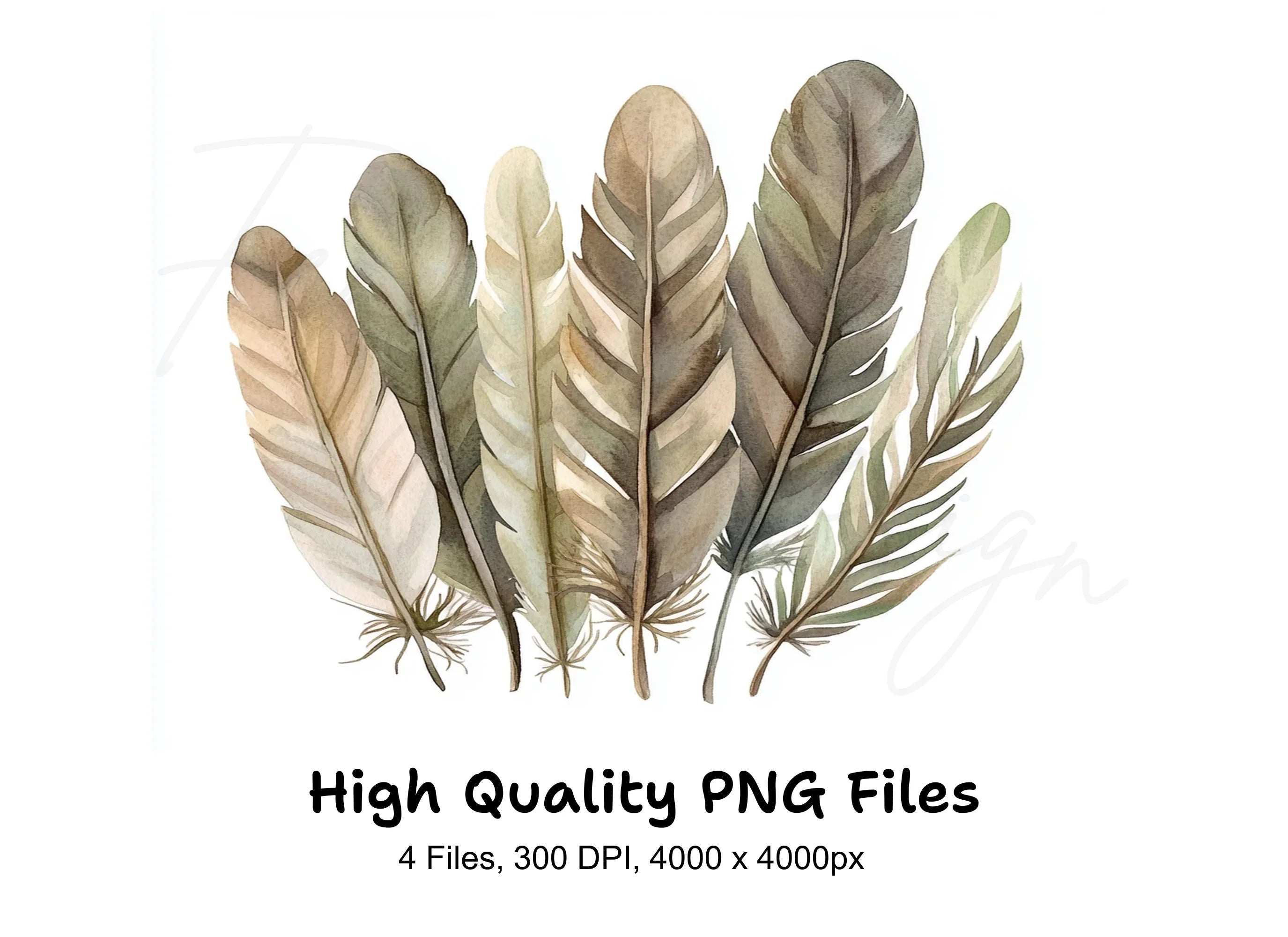 Earthy Tone Feather Grass Clipart Bundle