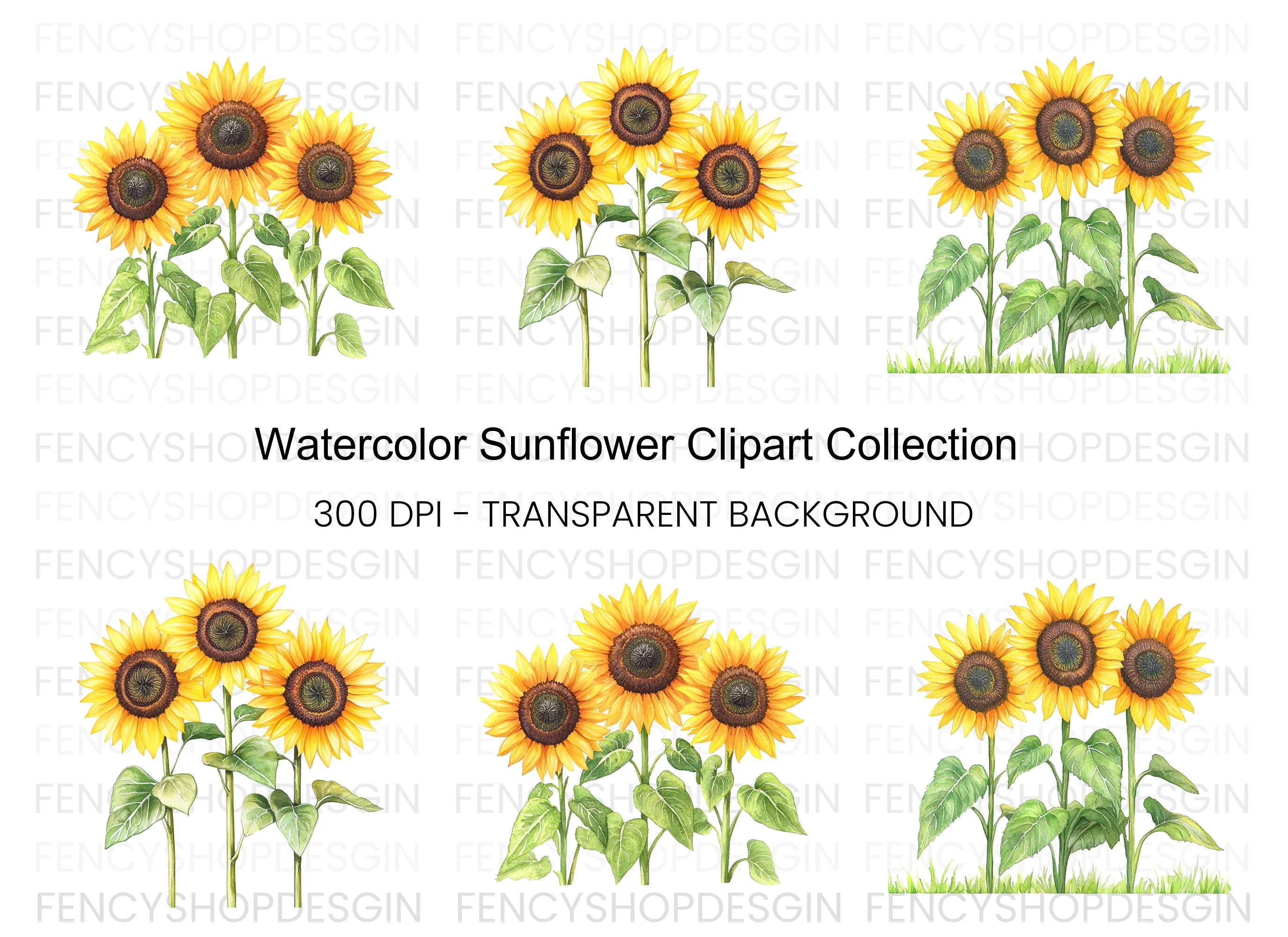 Sunflower Clipart Bundle