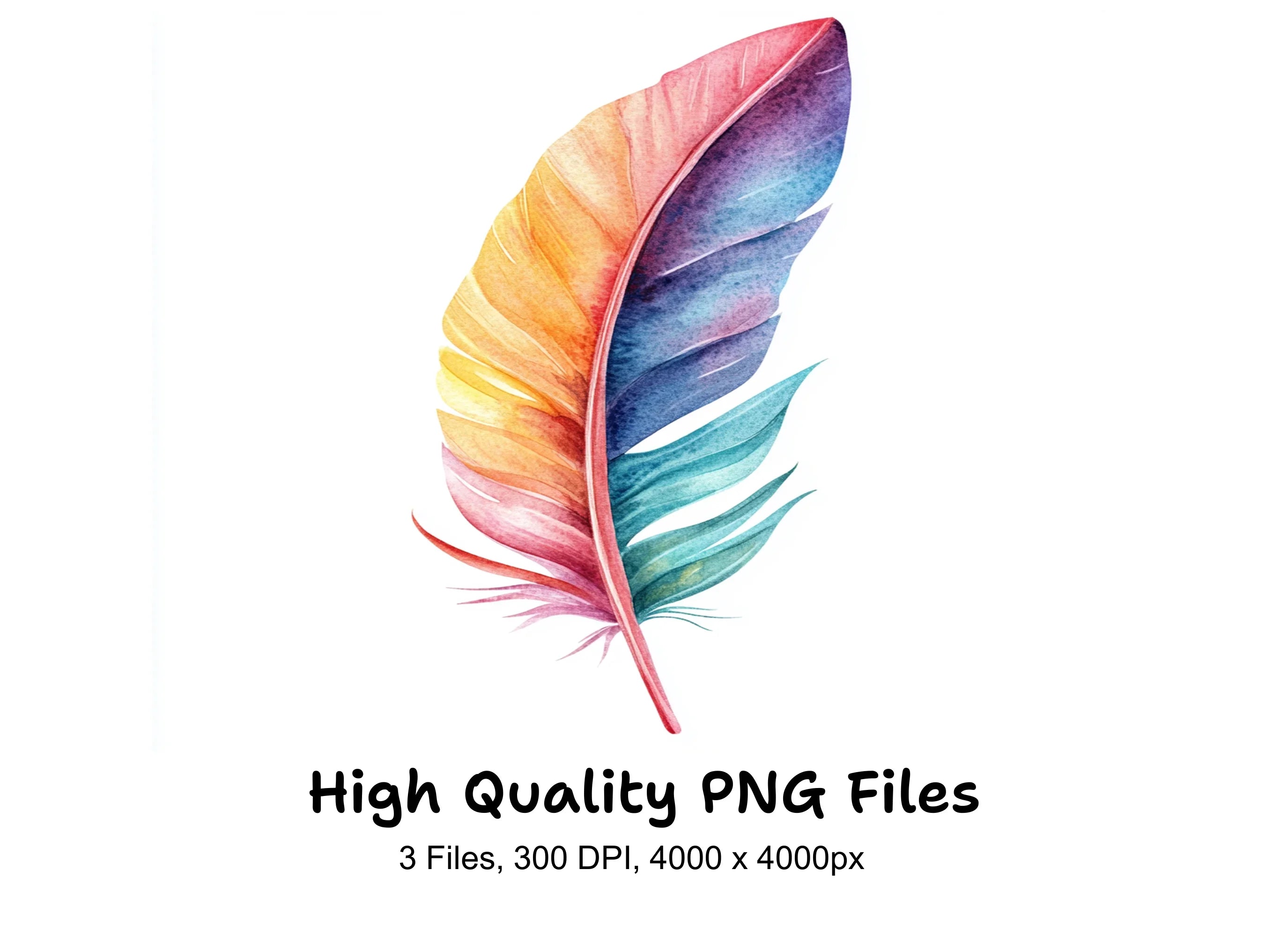 Vibrant Feather Clipart Bundle