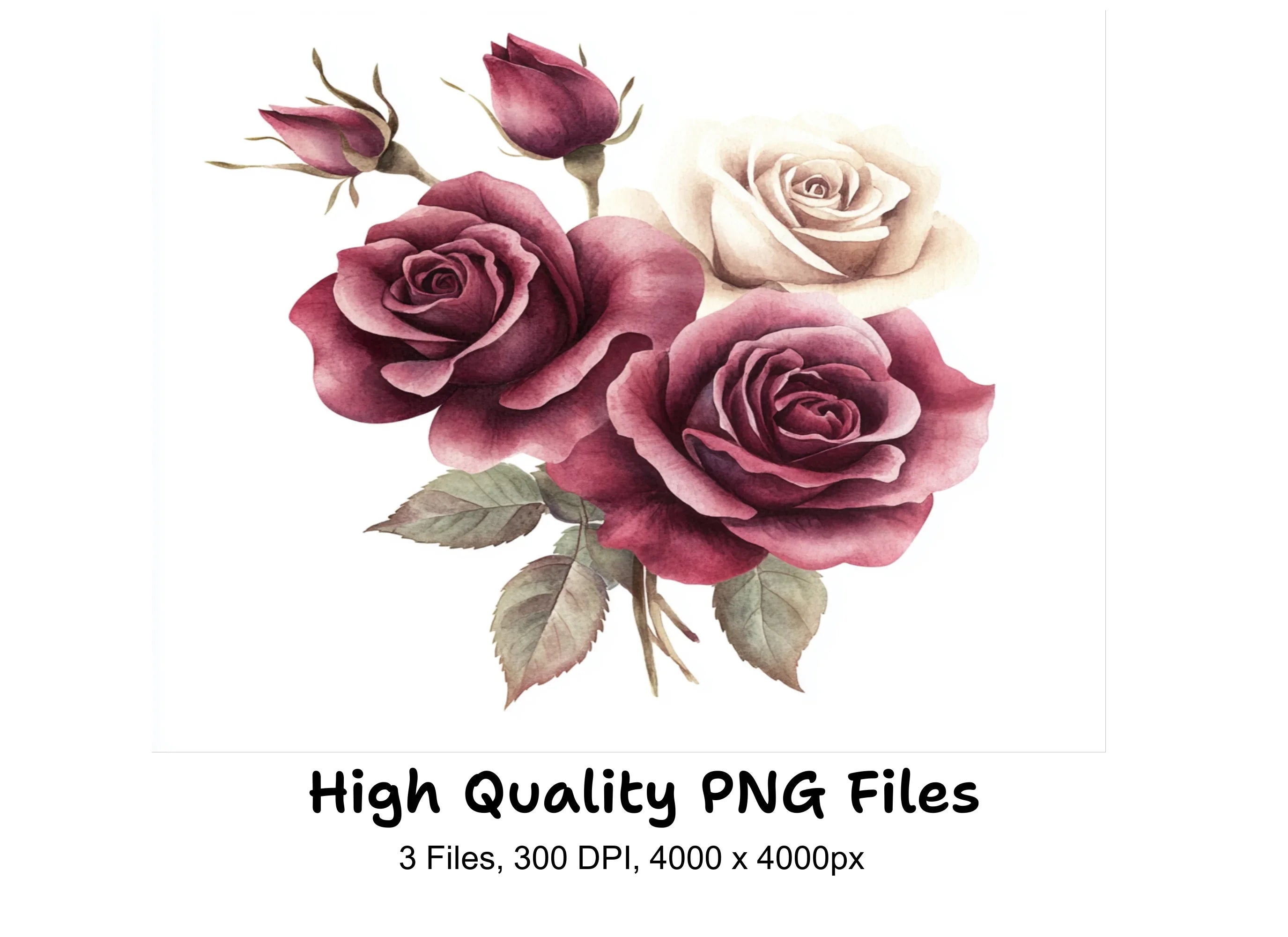 Elegant Burgundy Cream Rose Clipart Bundle