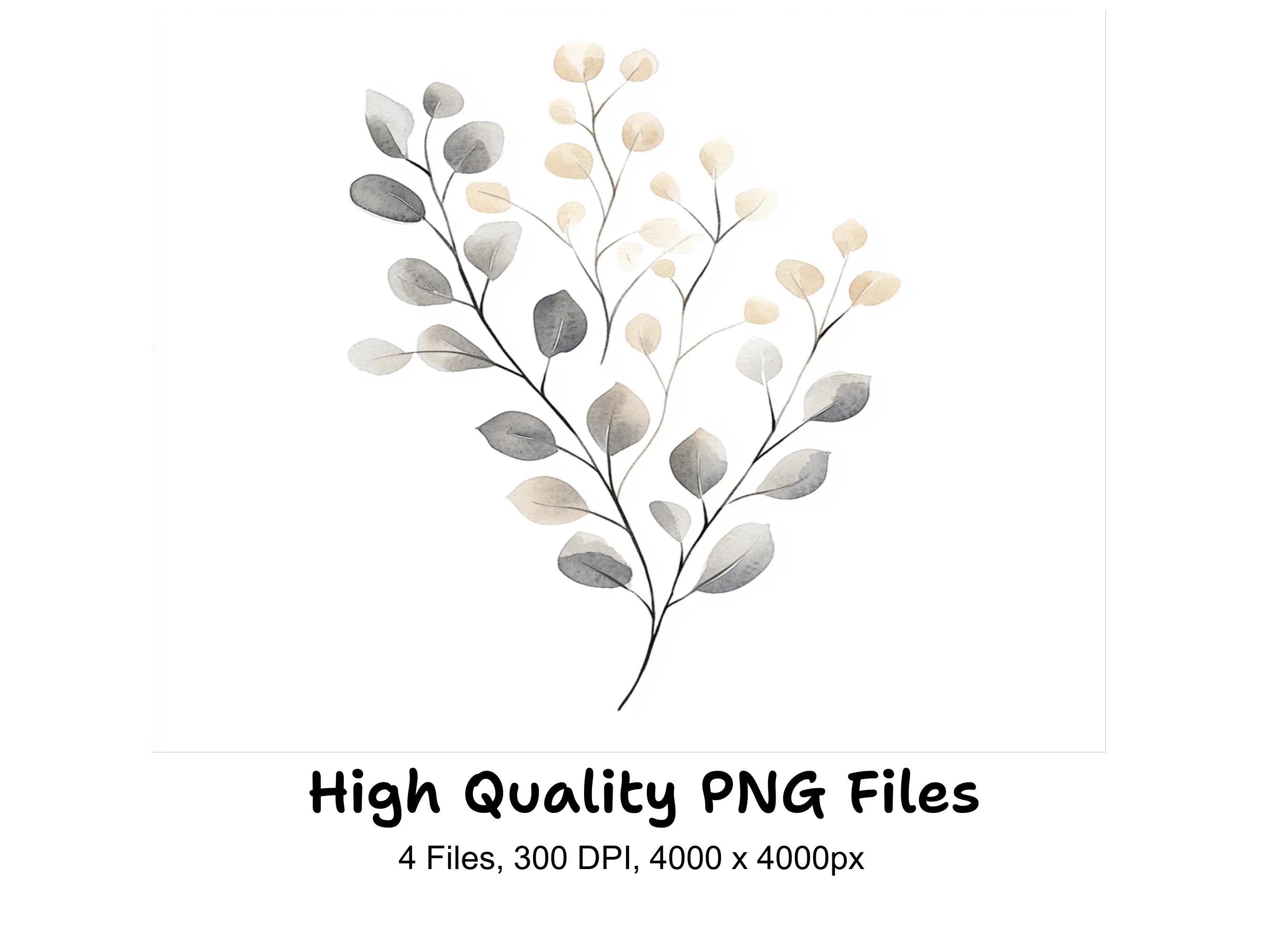 Eucalyptus Willow Clipart Bundle
