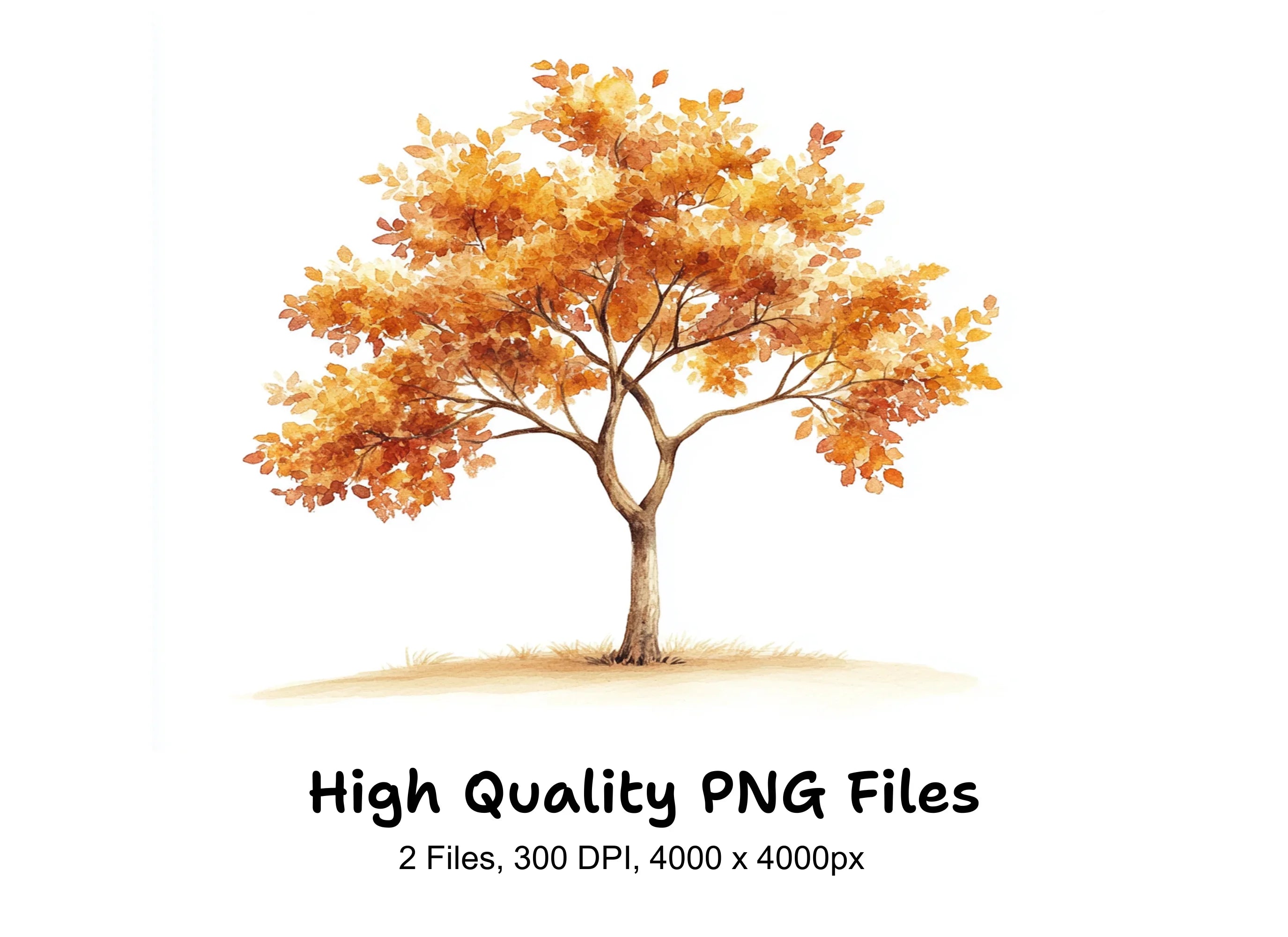 Autumn Trees Clipart Bundle