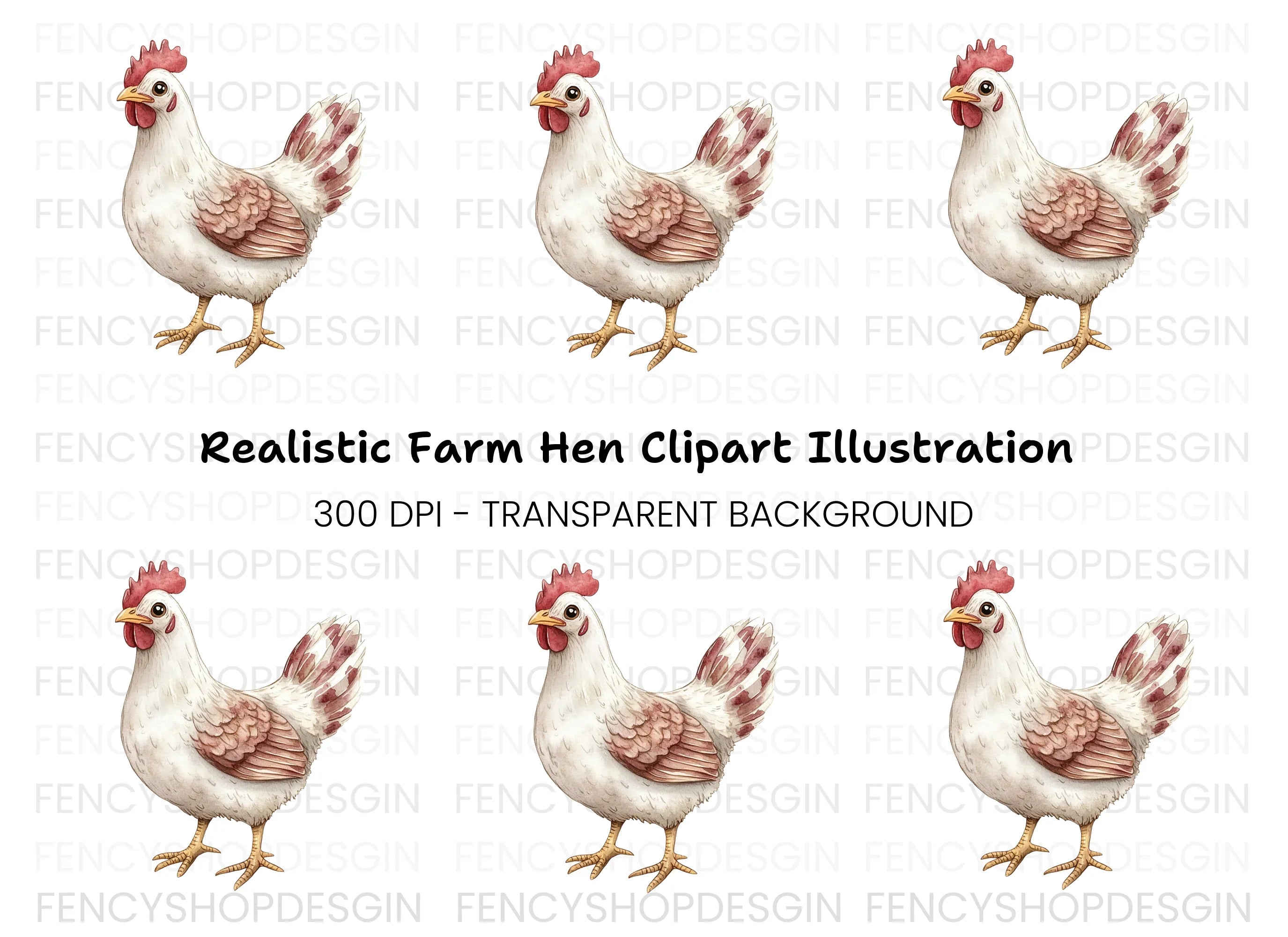 White Chicken Clipart Bundle