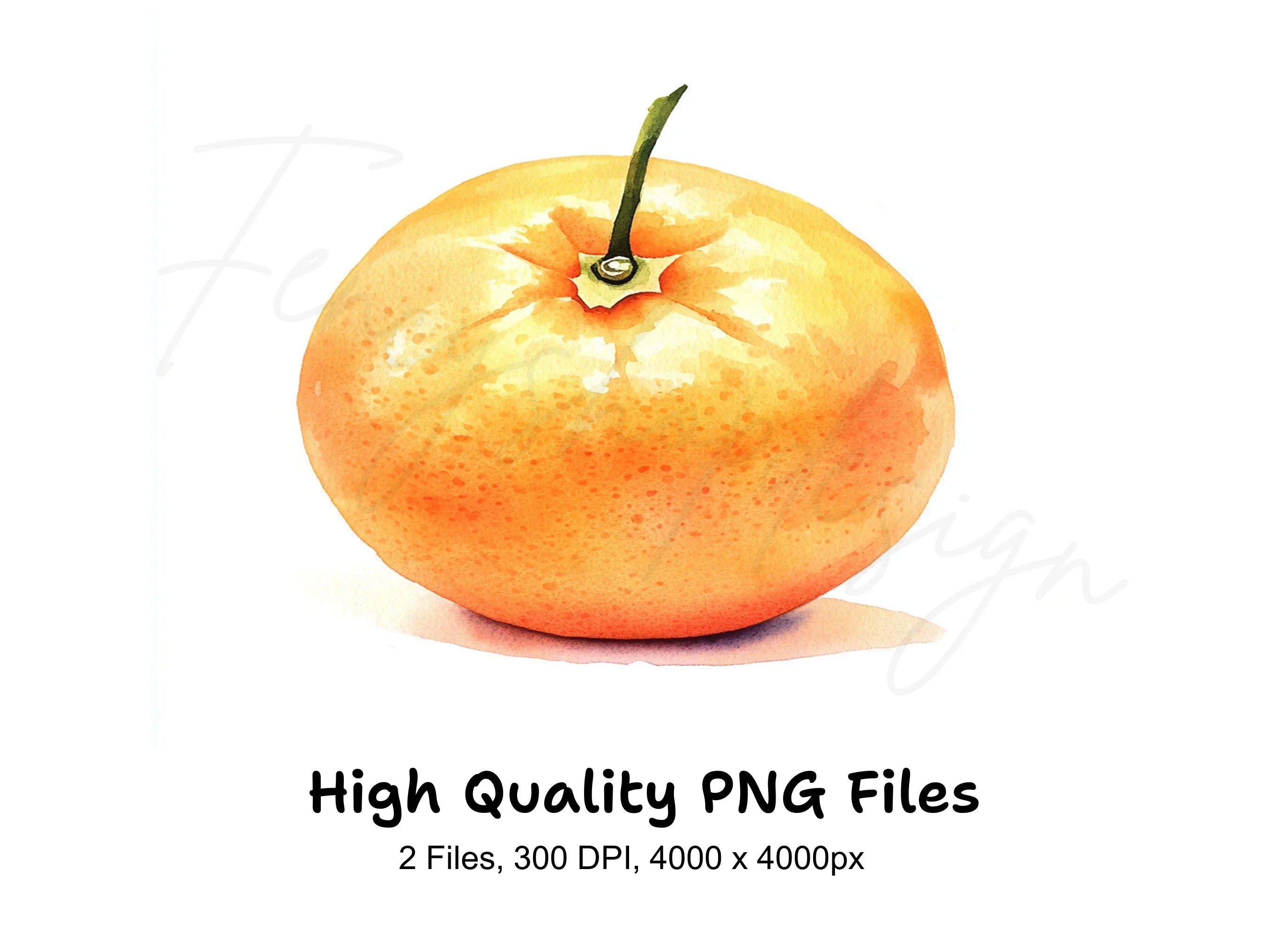 Whole Orange Fruit Clipart Bundle