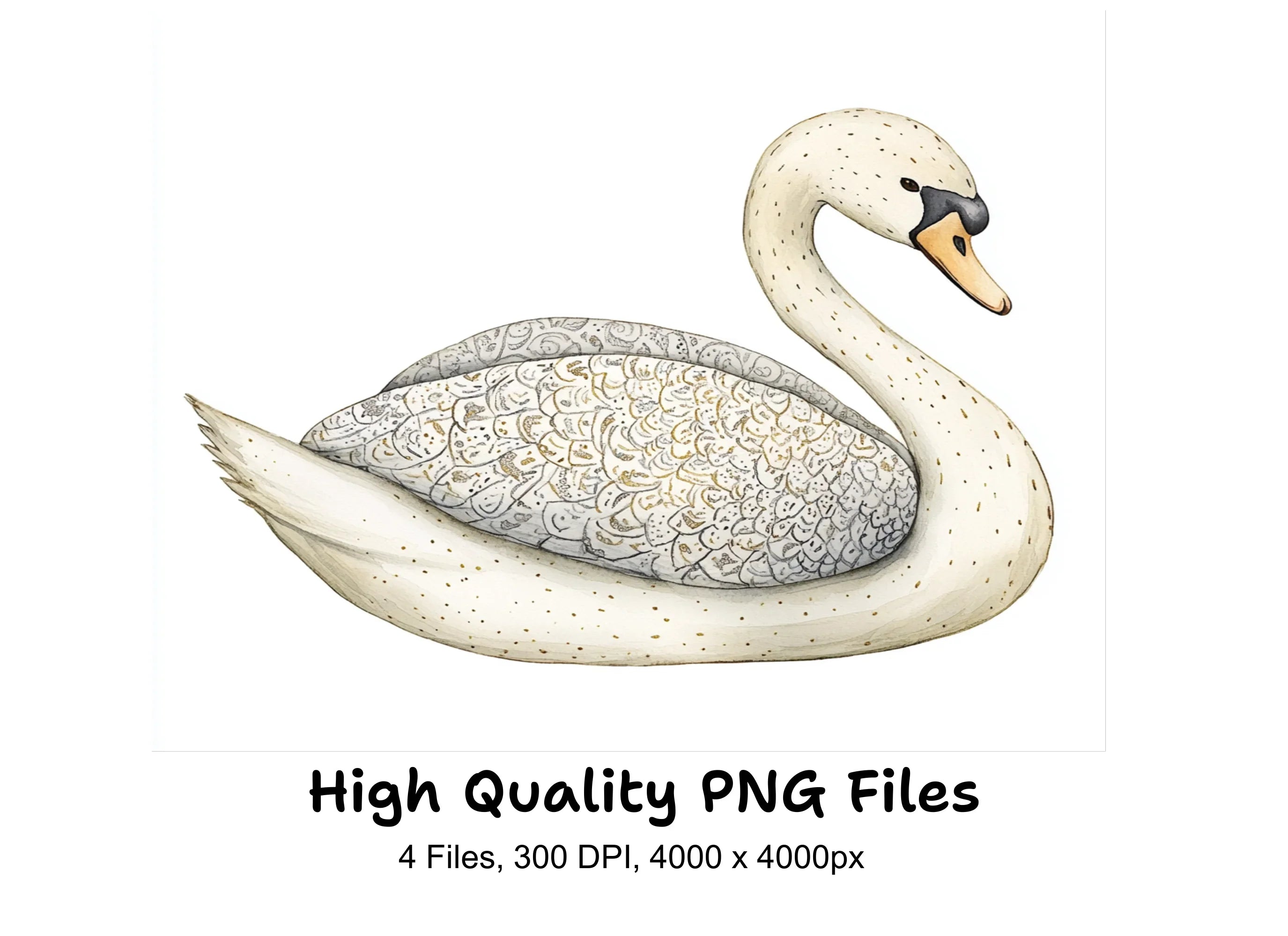 Elegant Swan with Gold Patterns Clipart Bundle