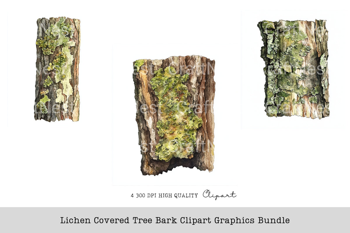 Lichen Covered Tree Bark Graphics Clipart Bundle