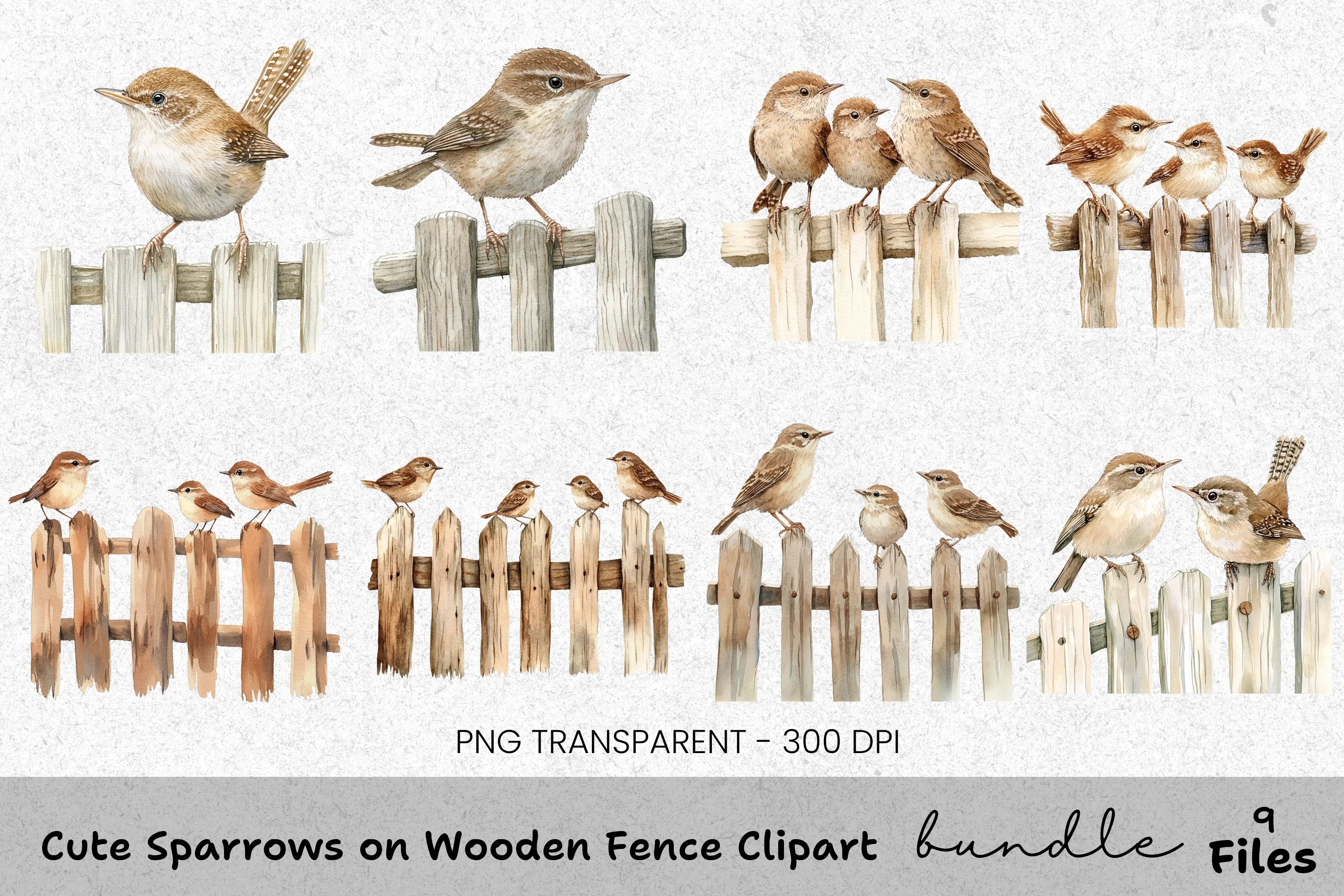 Cute Sparrows on Wooden Fence Clipart Bundle