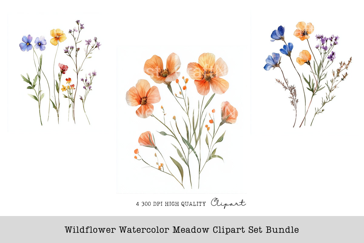 Wildflower Meadow Clipart Bundle