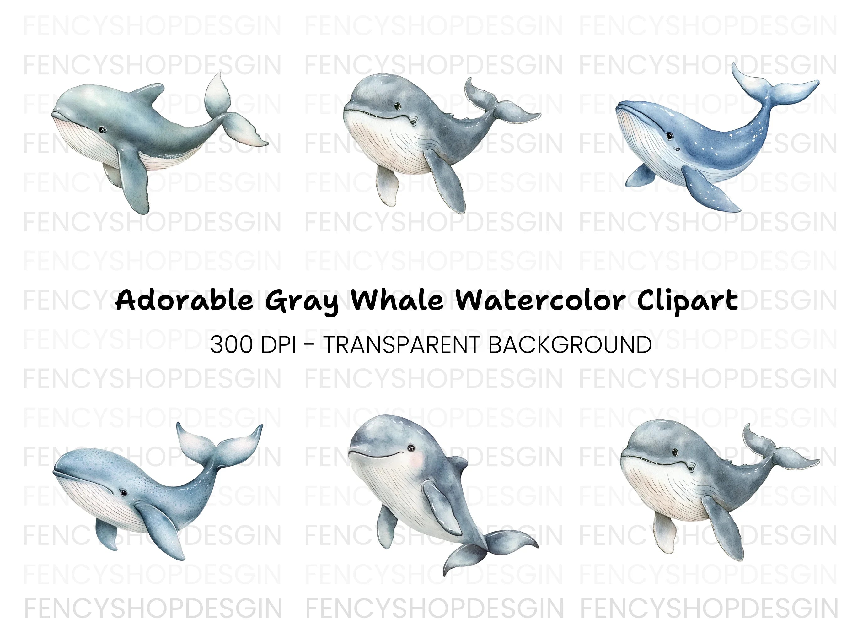 Cute Whale Clipart Bundle