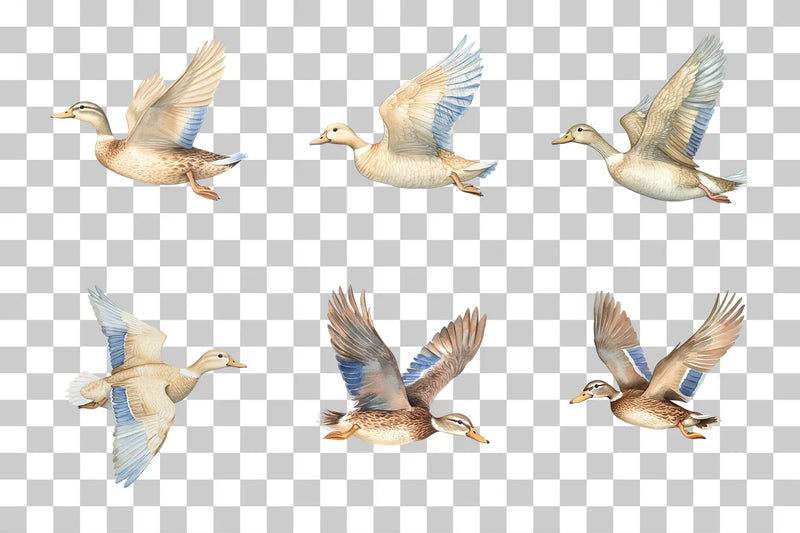 Flying Duck Wildlife Scene Clipart Bundle - CraftNest - Digital Crafting and Art
