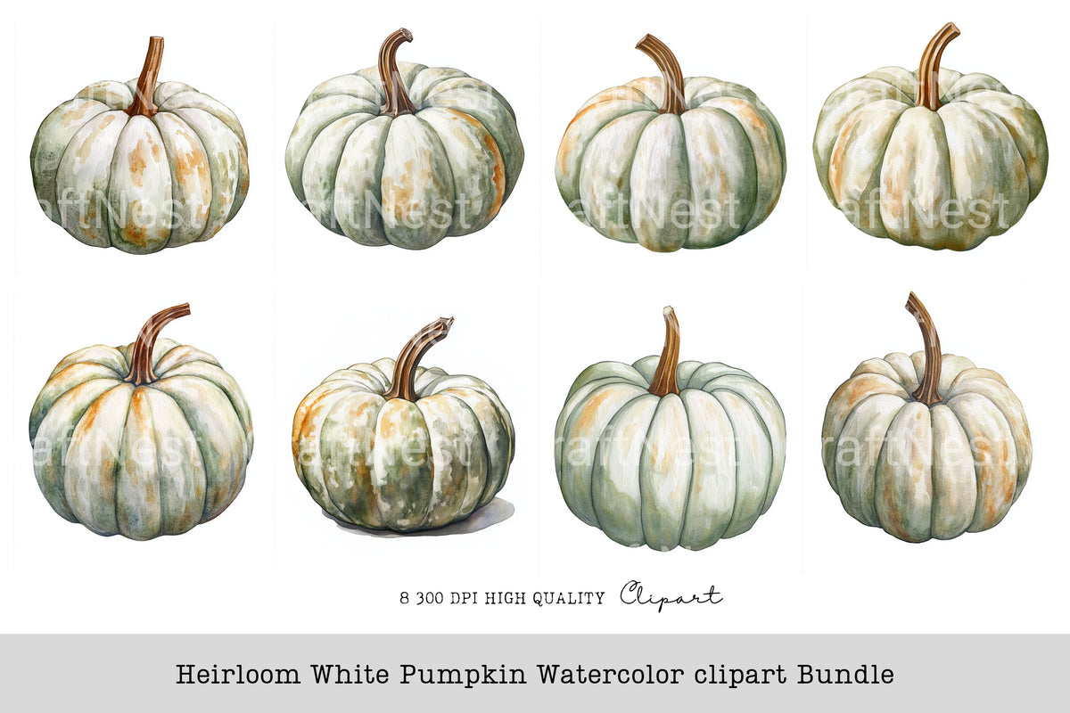 Heirloom White Pumpkin Clipart Bundle