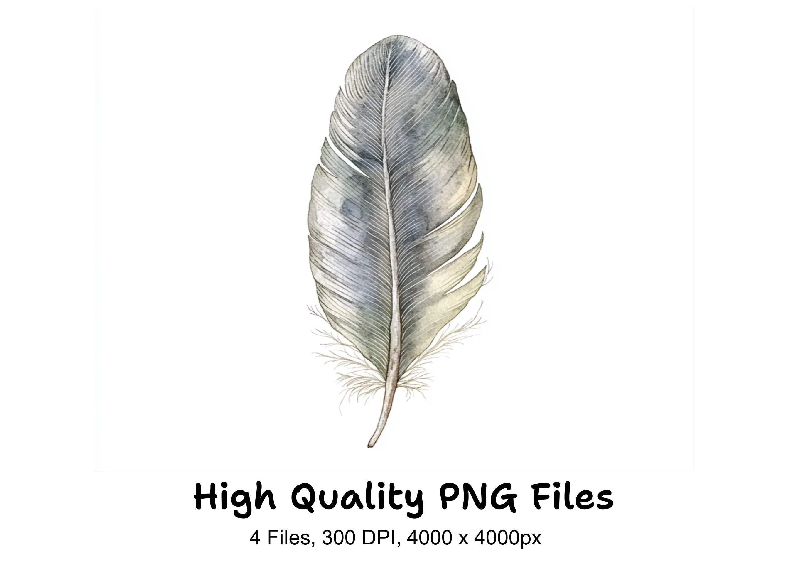 Feather Clipart Bundle
