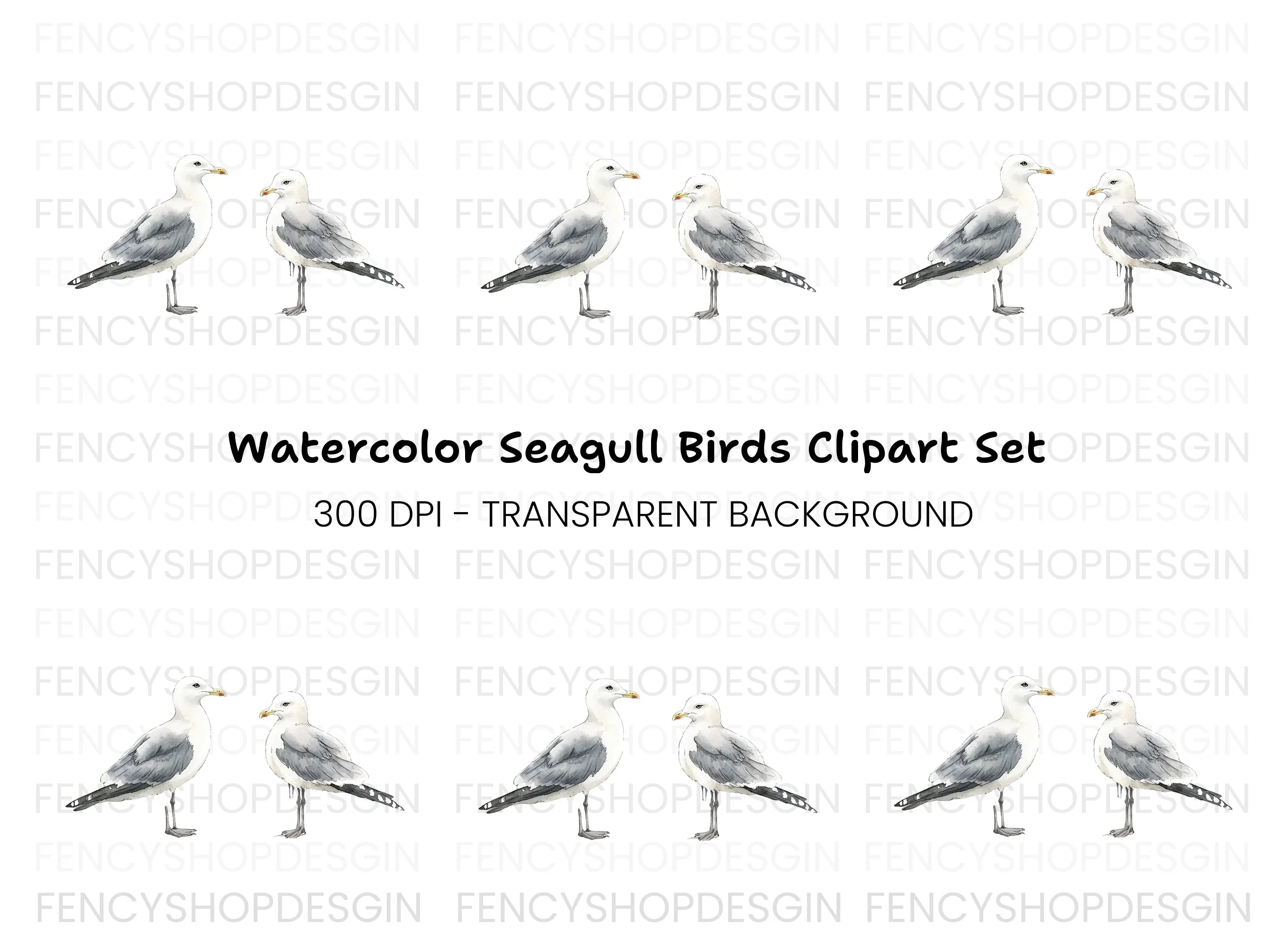 Seagull Clipart Bundle