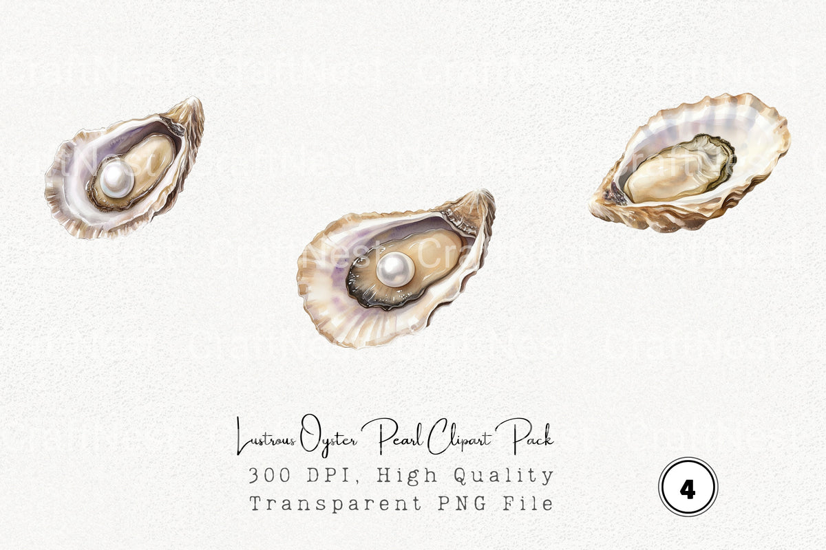 Lustrous Oyster Pearl Clipart Bundle