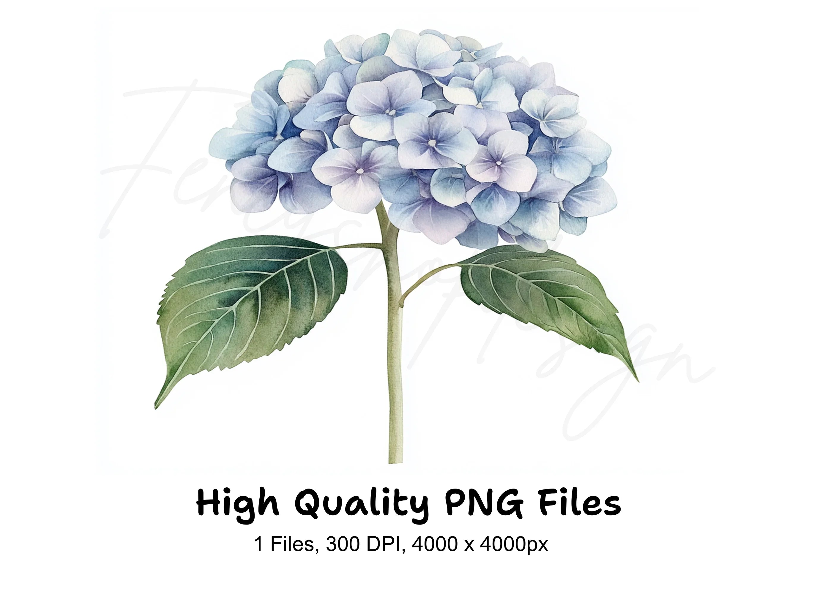 Blue Hydrangea Clipart Bundle