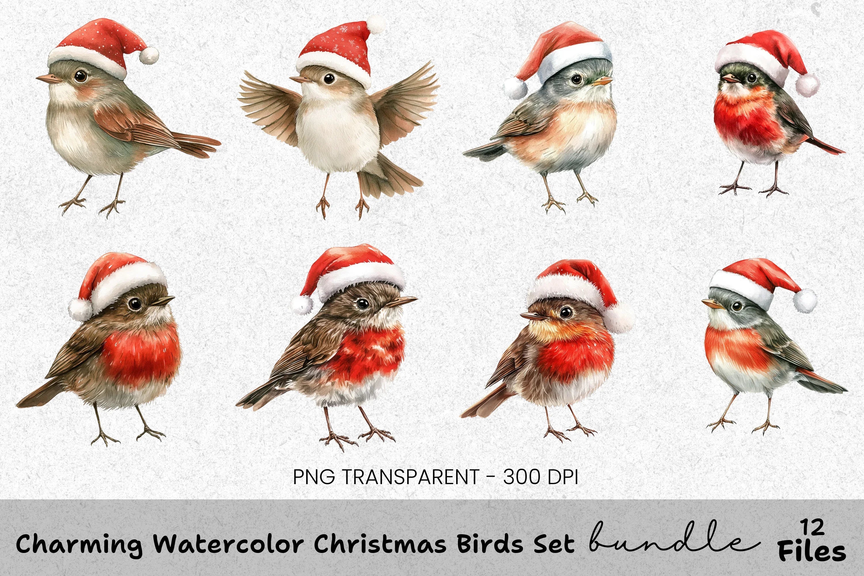 Charming Christmas Birds Clipart Bundle