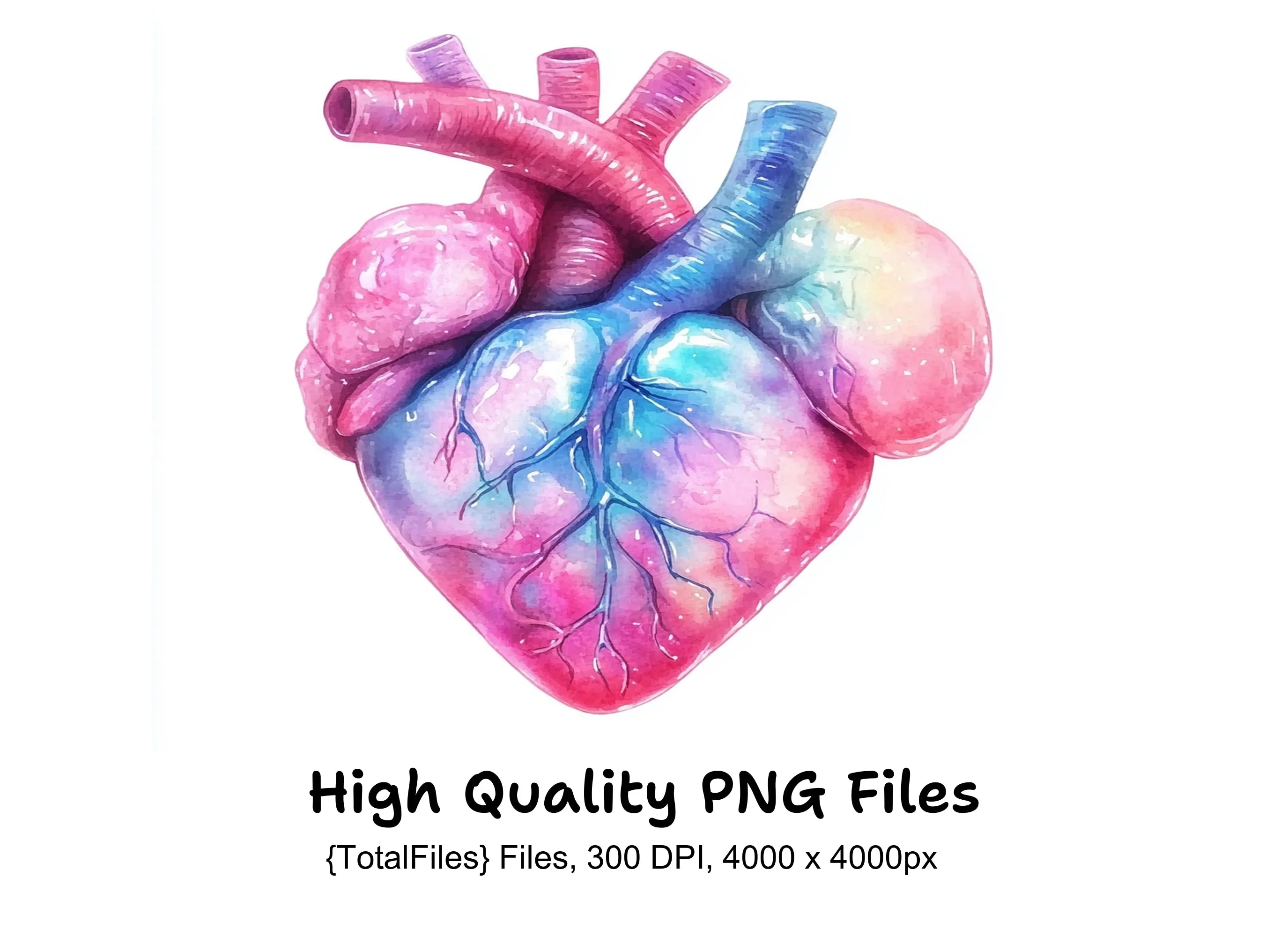 Anatomical Hearts Clipart Bundle