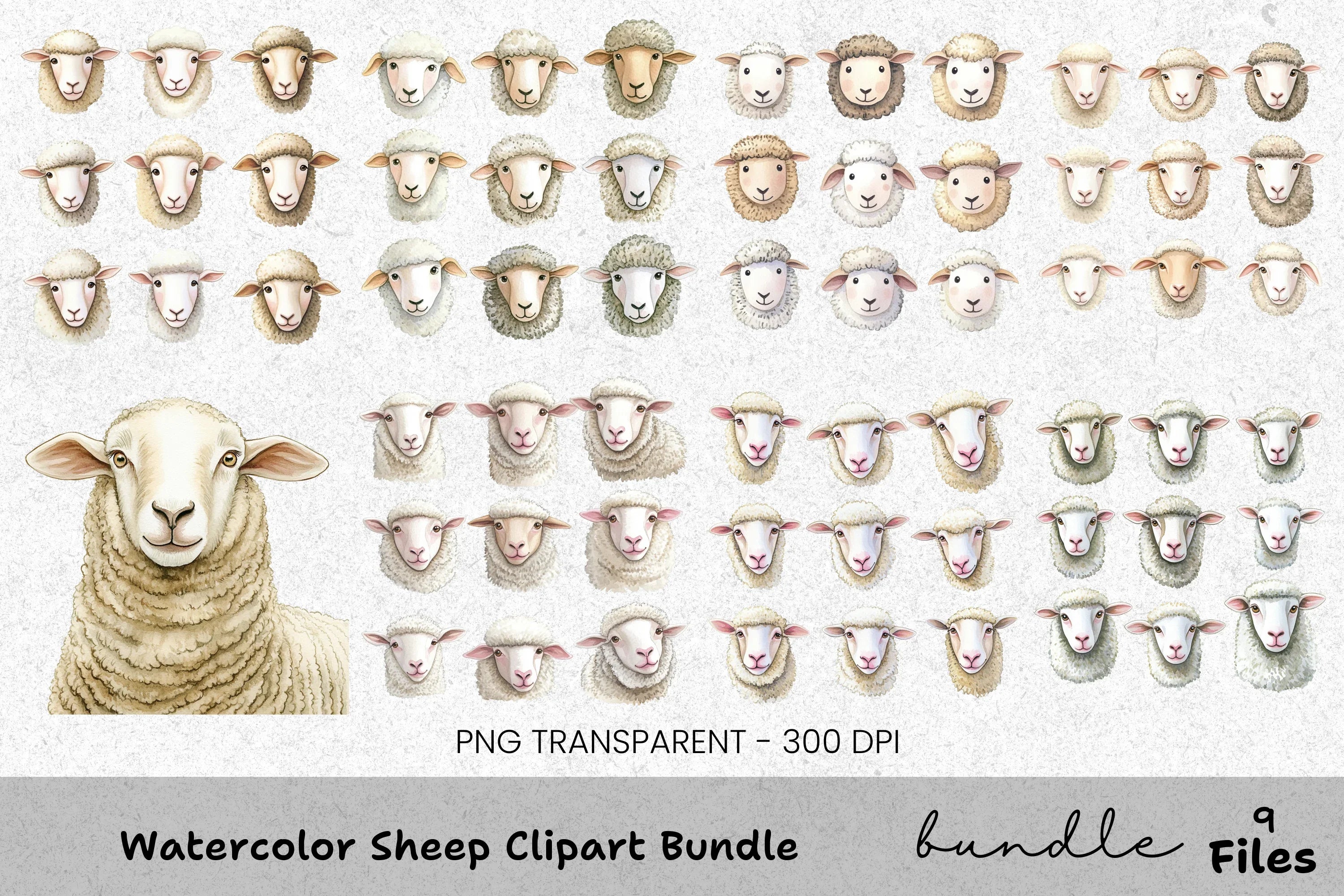 Sheep Clipart Bundle