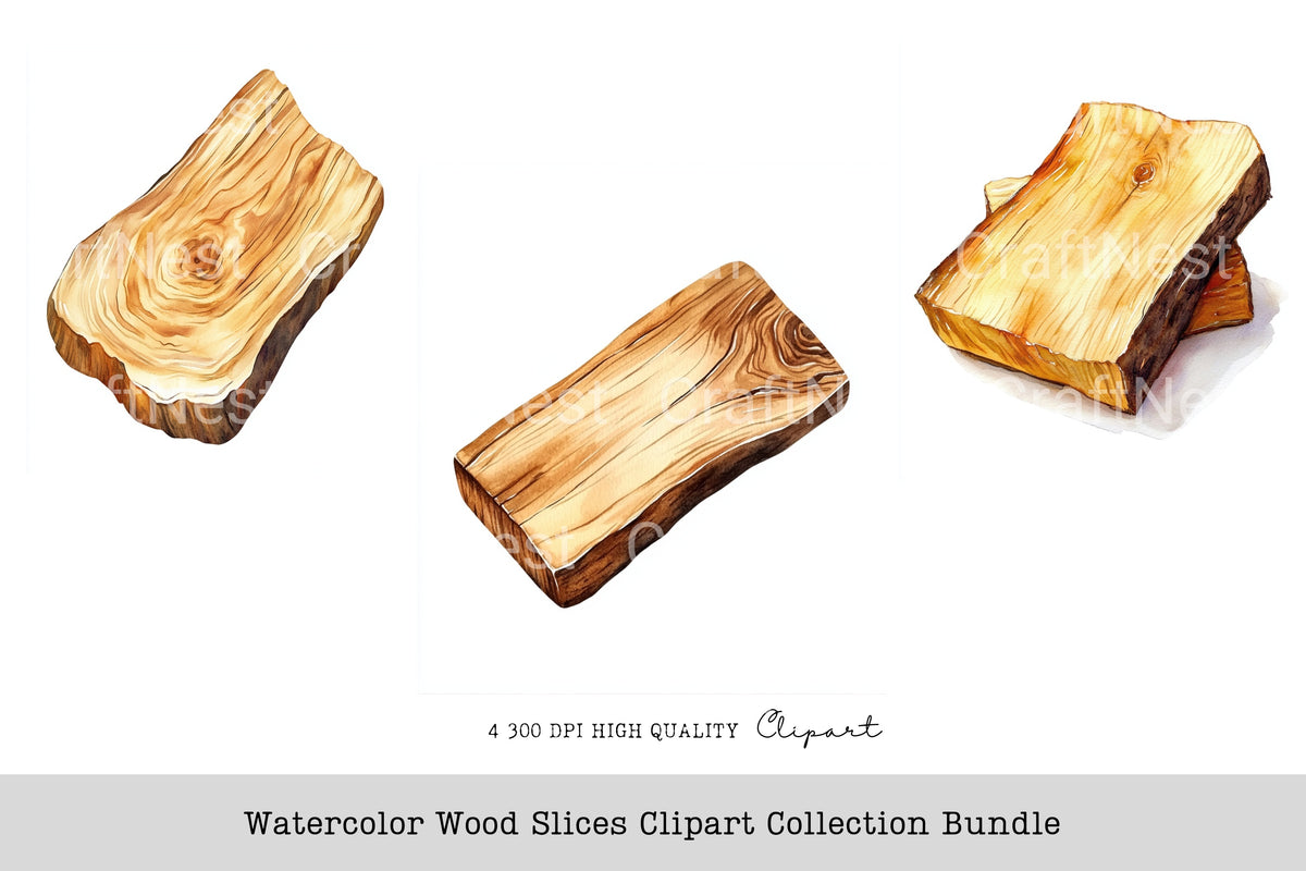 Wood Slices Clipart Bundle