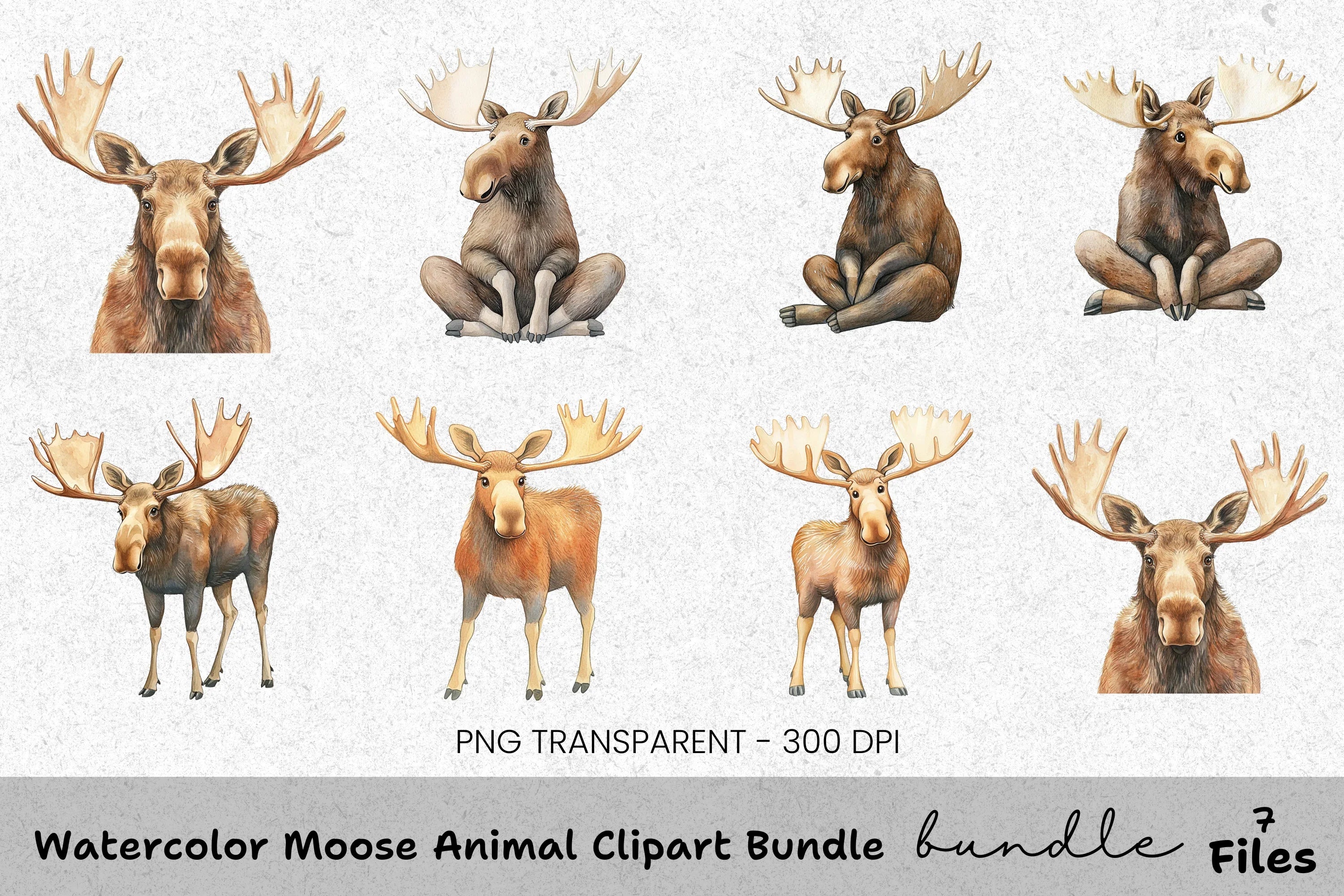 Moose Animal Clipart Bundle