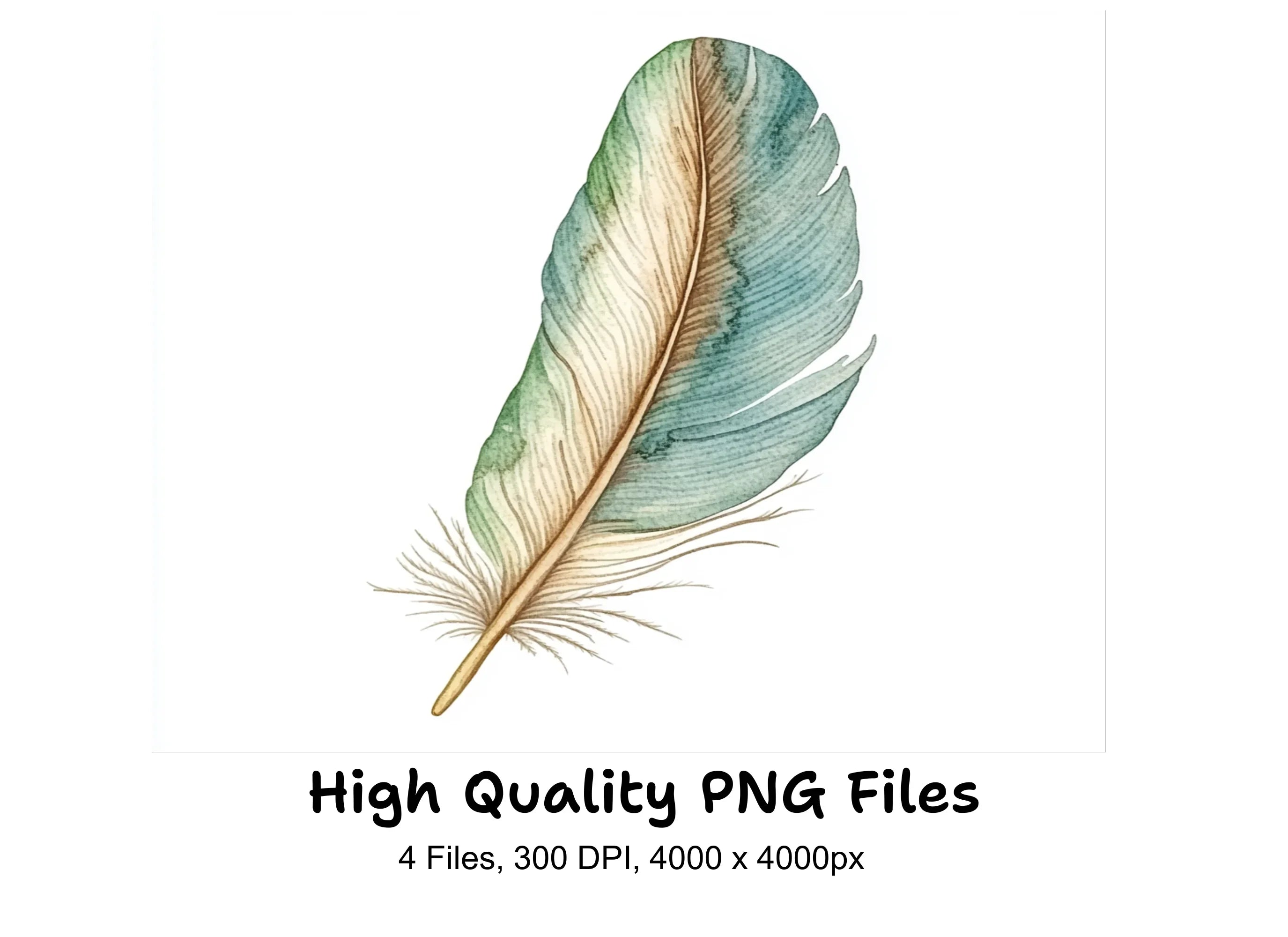 Colorful Feather Clipart Bundle