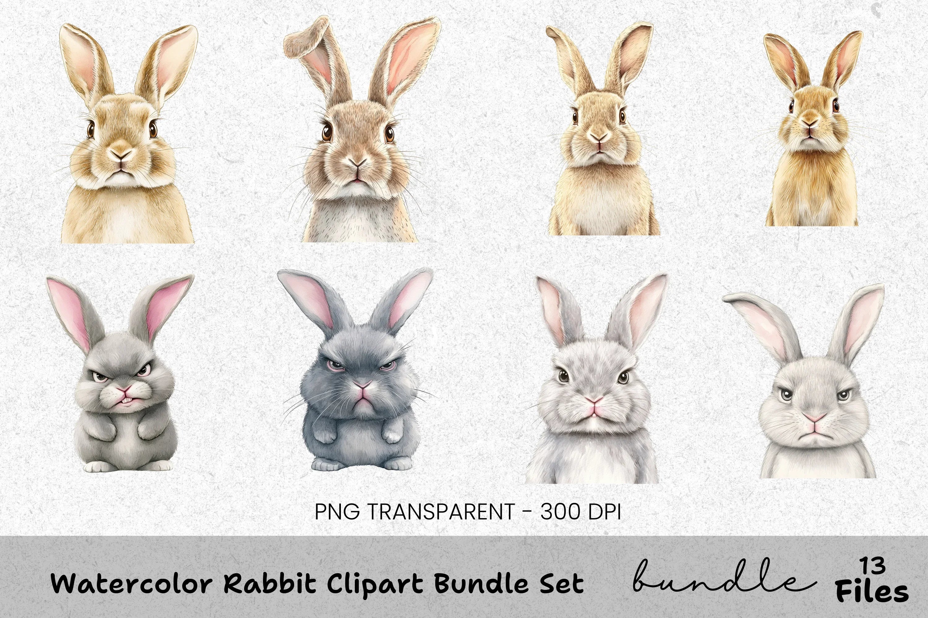 Rabbit Clipart Bundle