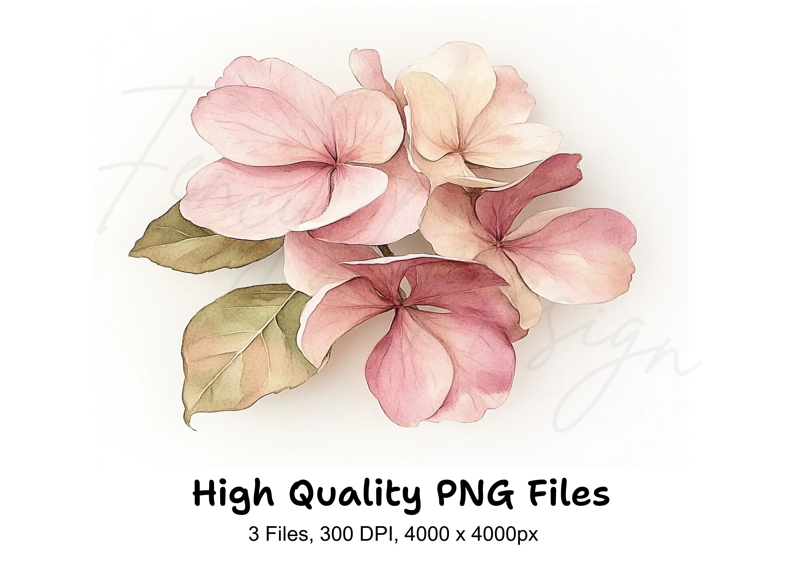 Pink Floral Clipart Bundle