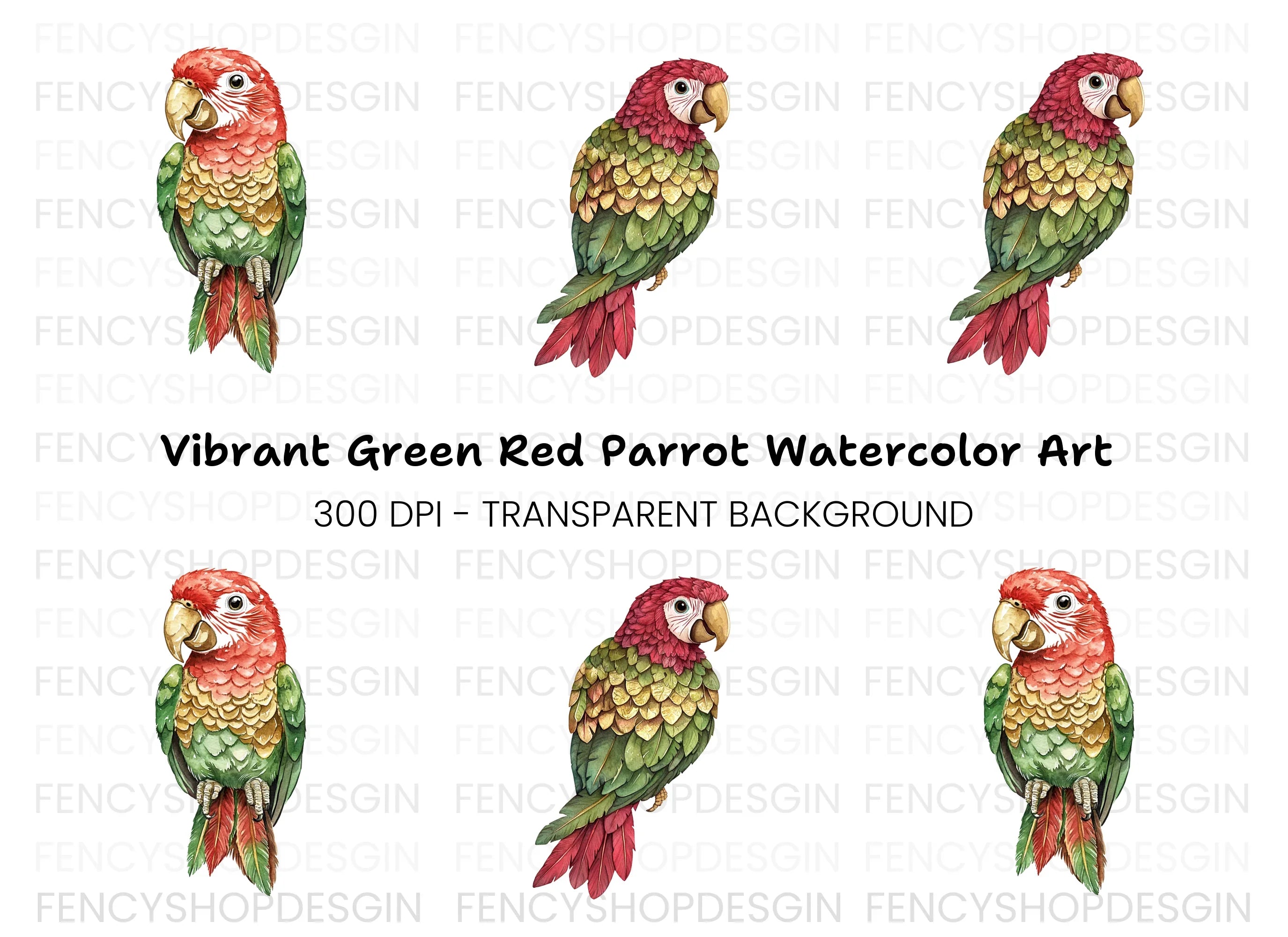 Exotic Parrot Clipart Bundle