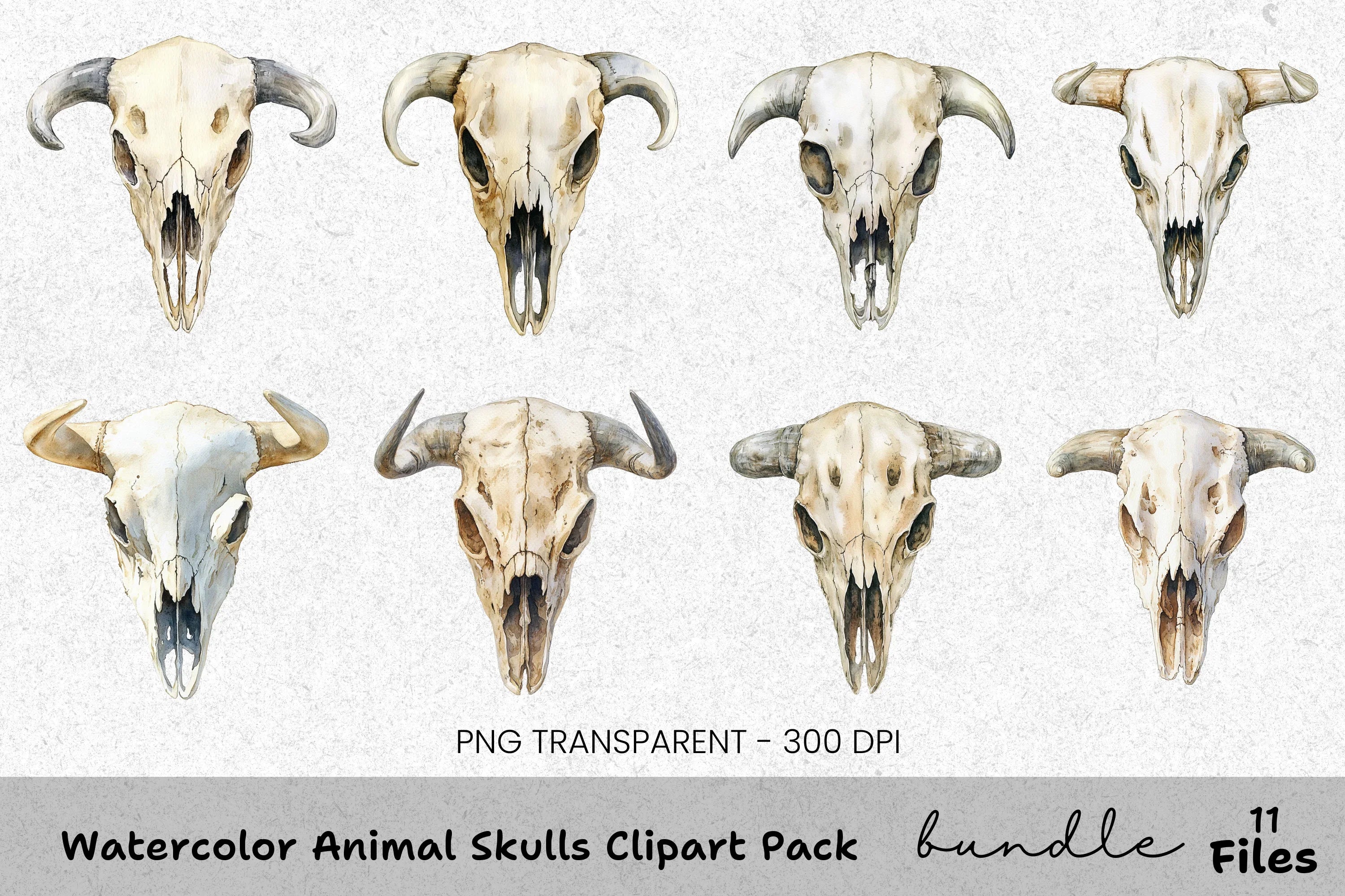 Animal Skulls Clipart Bundle